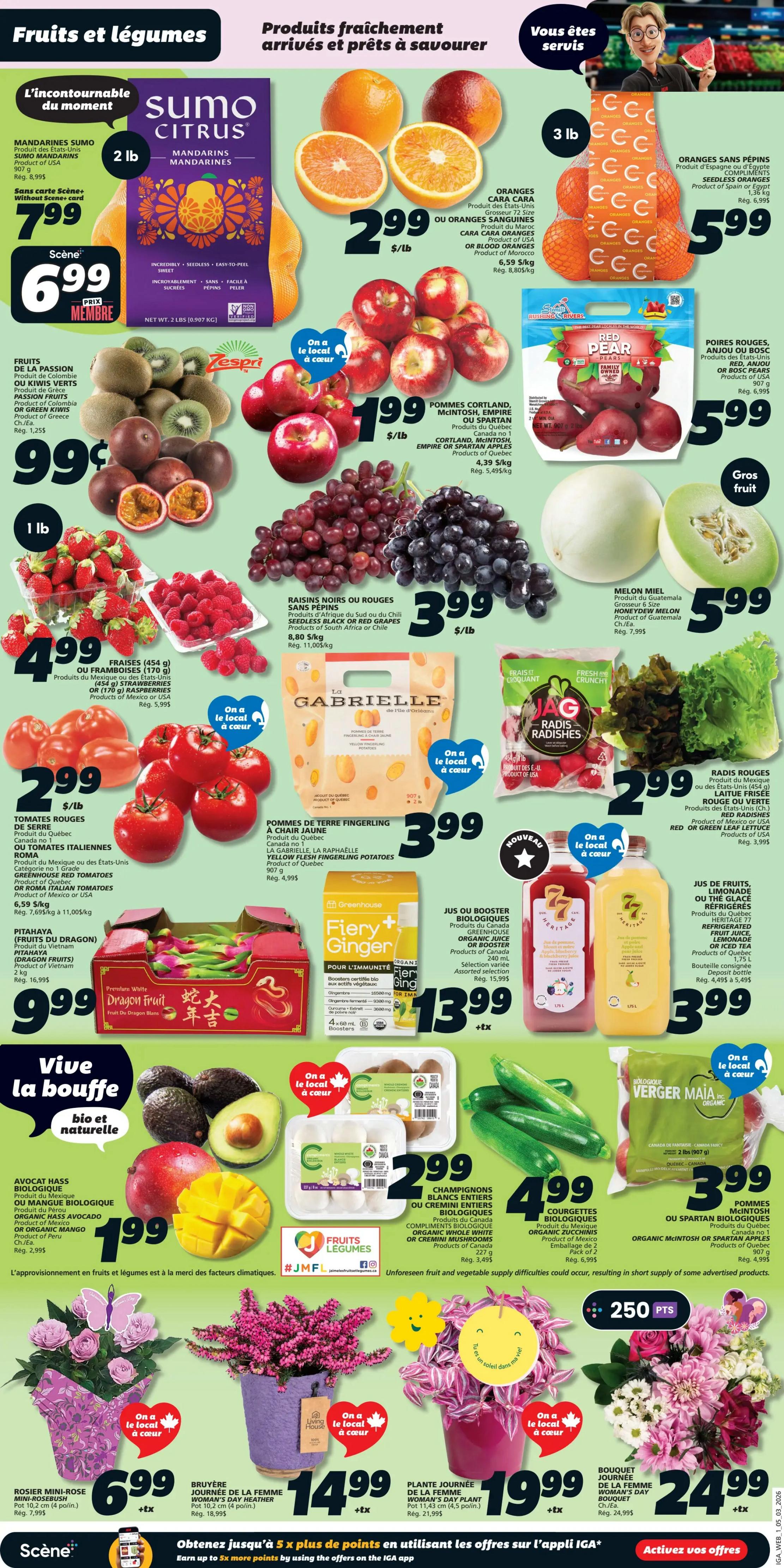 IGA Weekly Flyer Specials Page 3 features a variety of fresh fruits and vegetables. Highlights include Sumo Citrus Mandarins for $7.99 (Scène price $6.99), oranges for $2.99/lb, seedless oranges for $5.99/3 lbs, and red pears for $5.99. Also featured are passion fruits and kiwi for $0.99/lb, raspberries and strawberries for $4.99/lb, Cortland, McIntosh, Empire or Spartan apples for $1.99/lb, and red or black seedless grapes for $3.99/lb. Gabrielle yellow flesh fingerling potatoes are $3.99. Greenhouse organic juice or booster drinks are $13.99. Organic zucchini and cremini mushrooms are $2.99. Organic whole white or cremini mushrooms are $2.99. Organic honeydew melon is $5.99. Organic verger maia zucchini is $3.99. Organic Hass avocado or mango is $1.99. Red or green leaf lettuce is $2.99. The page also showcases floral arrangements including a mini-rosebush for $6.99, a Women's Day Heather plant for $14.99, and a Women's Day plant bouquet for $19.99 and $24.99. Customers can earn 250 points with select purchases.