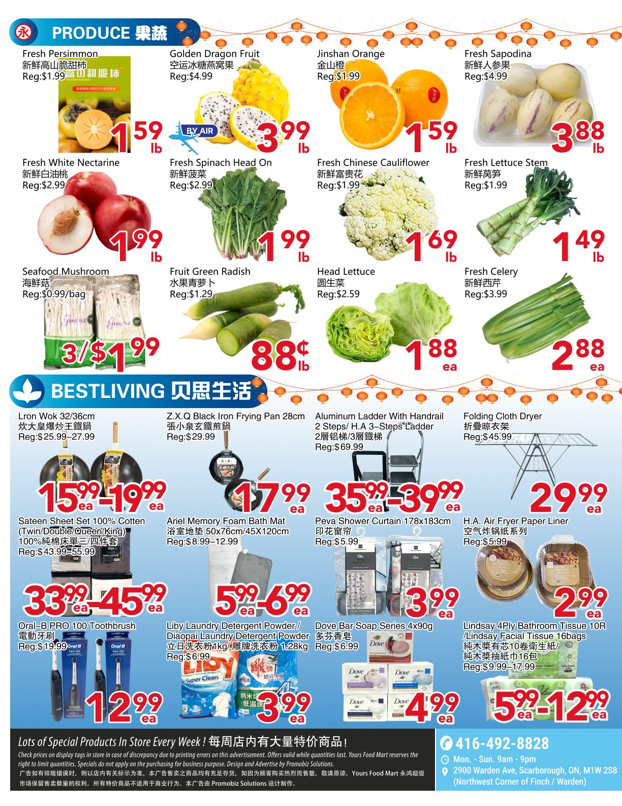 Yours Food Mart weekly flyer specials for page 2, featuring a variety of produce and household items. Produce includes Fresh Persimmon for $1.59/lb, Golden Dragon Fruit for $3.99/lb, Jinshan Orange for $1.59/lb, Fresh Sapodina for $3.88/lb, Fresh White Nectarine for $1.99/lb, Fresh Spinach Head On for $1.99/lb, Fresh Chinese Cauliflower for $1.69/lb, Fresh Lettuce Stem for $1.49/lb, Seafood Mushroom for $0.99/bag, Fruit Green Radish for $0.88/lb, Head Lettuce for $1.88 ea, and Fresh Celery for $2.88 ea. Household items include Lron Wok 32/36cm on sale from $25.99-27.99, Z.X.Q Black Iron Frying Pan 28cm for $29.99, Aluminum Ladder With Handrail 2 Steps/H.A 3-Steps Ladder for $69.99, Folding Cloth Dryer for $45.99, Sateen Sheet Set 100% Cotton (Twin/Double/Queen/King) for $43.99-55.99, Ariel Memory Foam Bath Mat 50x76cm/45x120cm for $8.99-12.99, Peva Shower Curtain 178x183cm for $5.99, and H.A. Air Fryer Paper Liner for $5.99. Also featured are Oral-B PRO 100 Toothbrush for $12.99 ea, Liby Laundry Detergent Powder / Diaopai Laundry Detergent Powder 1kg/1.28kg for $3.99 ea, Dove Bar Soap Series 4x90g for $4.99 ea, and Lindsay 4Ply Bathroom Tissue 10R/Lindsay Facial Tissue 16bags for $9.99-17.99. The flyer also includes a note about lots of special products in store every week and contact information for Yours Food Mart at 416-492-8828, located at 2900 Warden Ave, Scarborough, ON, M1W 2S8.