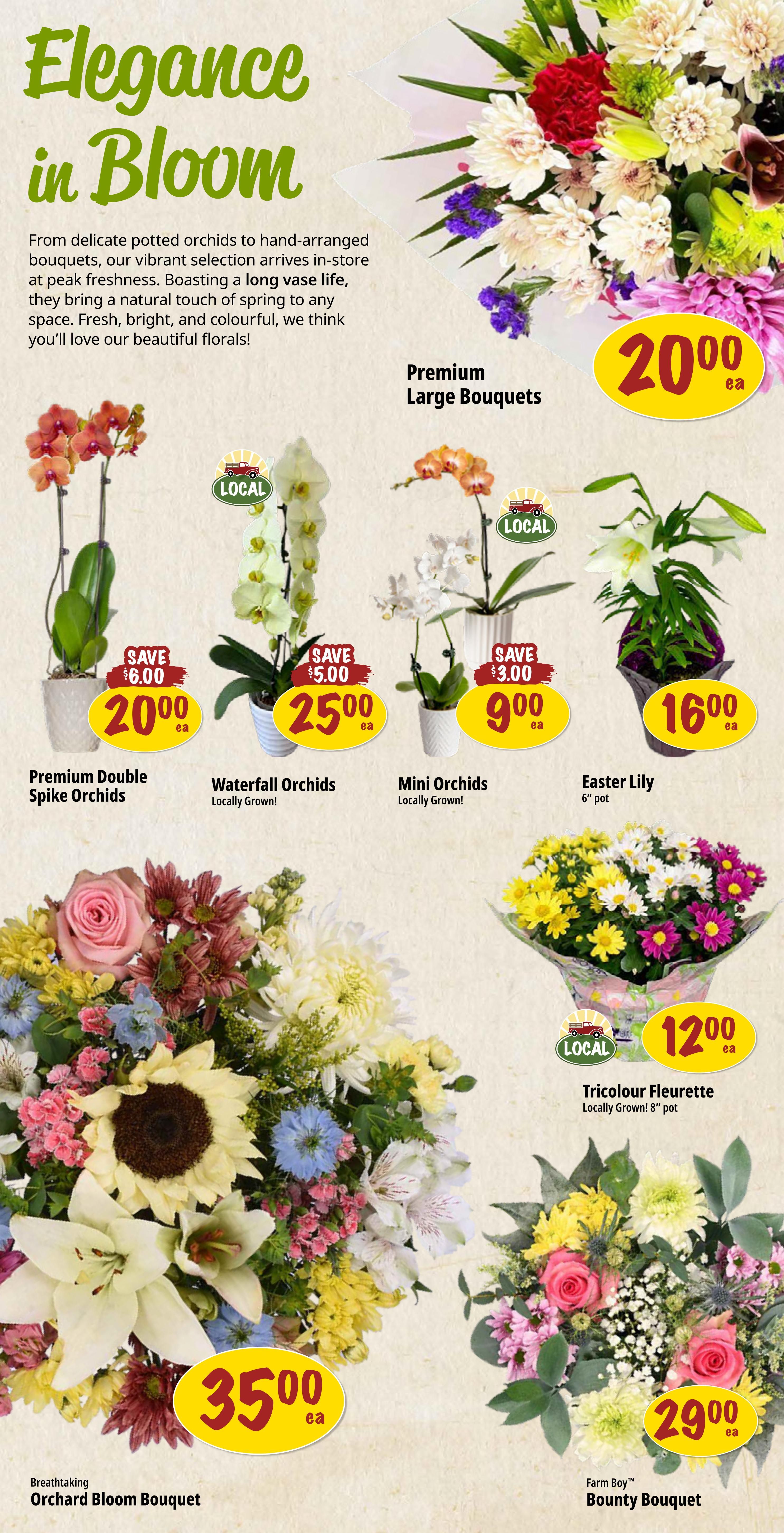 Farm Boy weekly flyer specials page 6, featuring 'Elegance in Bloom' floral collection. Offers include Premium Large Bouquets for $20.00, Premium Double Spike Orchids for $20.00 (save $6.00), Waterfall Orchids (Locally Grown) for $25.00 (save $5.00), Mini Orchids (Locally Grown) for $9.00 (save $3.00), and Easter Lily in a 6' pot for $16.00. Also featured are a Breathtaking Orchard Bloom Bouquet for $35.00, Tricolour Fleurette (Locally Grown, 8' pot) for $12.00, and Farm Boy Bounty Bouquet for $29.00.