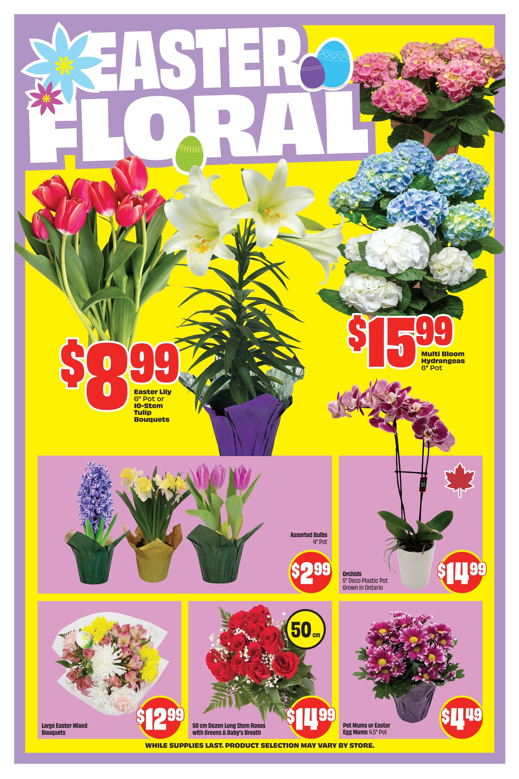 FreshCo Ontario weekly flyer specials page 7 features Easter floral arrangements. Get an Easter Lily 6' pot or 10-stem Tulip Bouquets for $8.99. Multi Bloom Hydrangeas 6' pot are $15.99. Assorted Bulbs 4' pot are $2.99. Orchids 5' Deco Plastic Pot, grown in Ontario, are $14.99. Large Easter Mixed Bouquets are $12.99. 50 cm Dozen Long Stem Roses with Greens & Baby's Breath are $14.99. Pot Mums or Easter Egg Mums 4.5' pot are $11.49. While supplies last, product selection may vary by store.