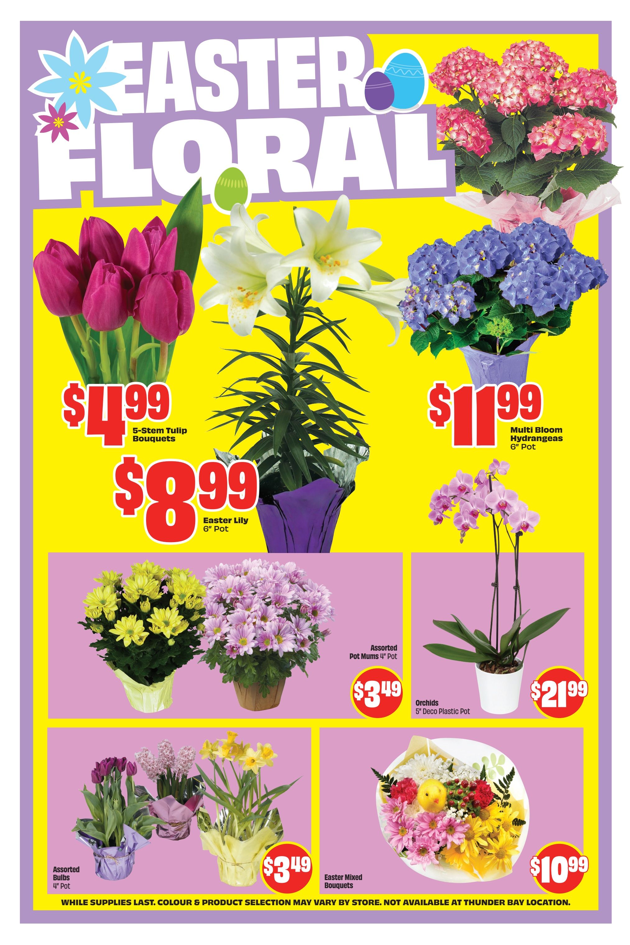 FreshCo flyer page 7 features Easter floral arrangements. Offers include 5-stem Tulip Bouquets for $4.99, Easter Lily in a 6' pot for $8.99, and Multi Bloom Hydrangeas in a 6' pot for $11.99. Also available are Assorted Pot Mums in 4' pots for $3.49, Orchids in a 5' Deco Plastic Pot for $21.99, Assorted Bulbs in 4' pots for $3.49, and Easter Mixed Bouquets for $10.99. While supplies last. Colour and product selection may vary by store. Not available at the Thunder Bay location.
