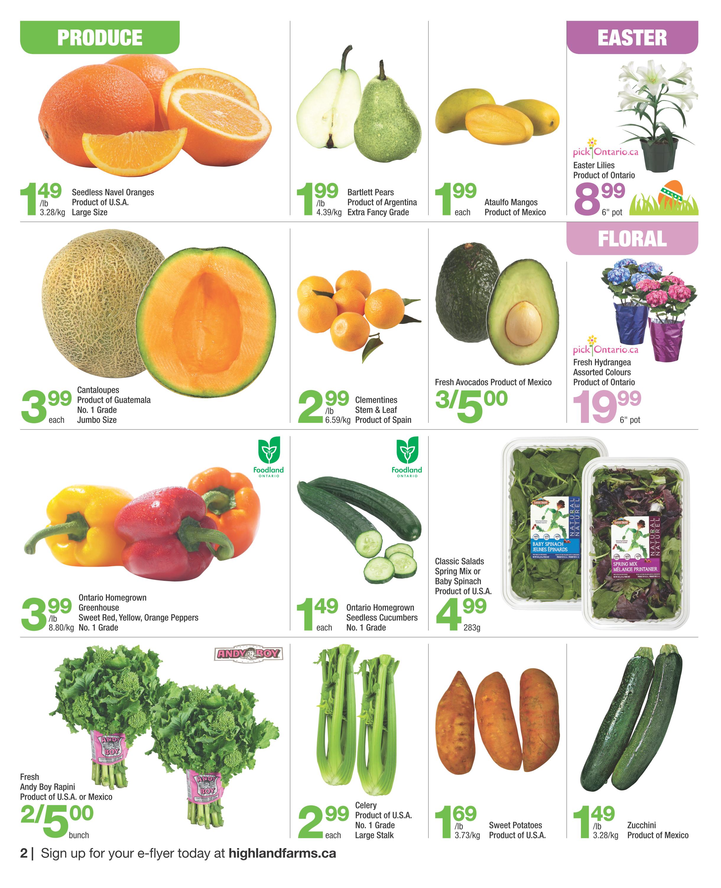 Highland Farms flyer page 2 features a variety of fresh produce. Seedless Navel Oranges from the U.S.A. are $1.49/lb. Bartlett Pears from Argentina are $1.99/lb. Ataulfo Mangos from Mexico are $1.99 each. Cantaloupes from Guatemala are $3.99 each. Clementines (stem & leaf) from Spain are $2.99/lb. Fresh Avocados from Mexico are 3 for $5.00. Ontario Homegrown Sweet Red, Yellow, Orange Peppers are $3.99/lb. Ontario Homegrown Seedless Cucumbers are $1.49 each. Fresh Andy Boy Rapini from the U.S.A. or Mexico are $2.50 per bunch. Celery from the U.S.A. is $2.99 each. Sweet Potatoes from the U.S.A. are $1.69/lb. Zucchini from Mexico are $1.49/lb. Also featured are Easter Lilies for $8.99 per 6' pot and Fresh Hydrangea Assorted Colours for $19.99 per 6' pot. Classic Salads Spring Mix or Baby Spinach from the U.S.A. are $4.99 for 283g.