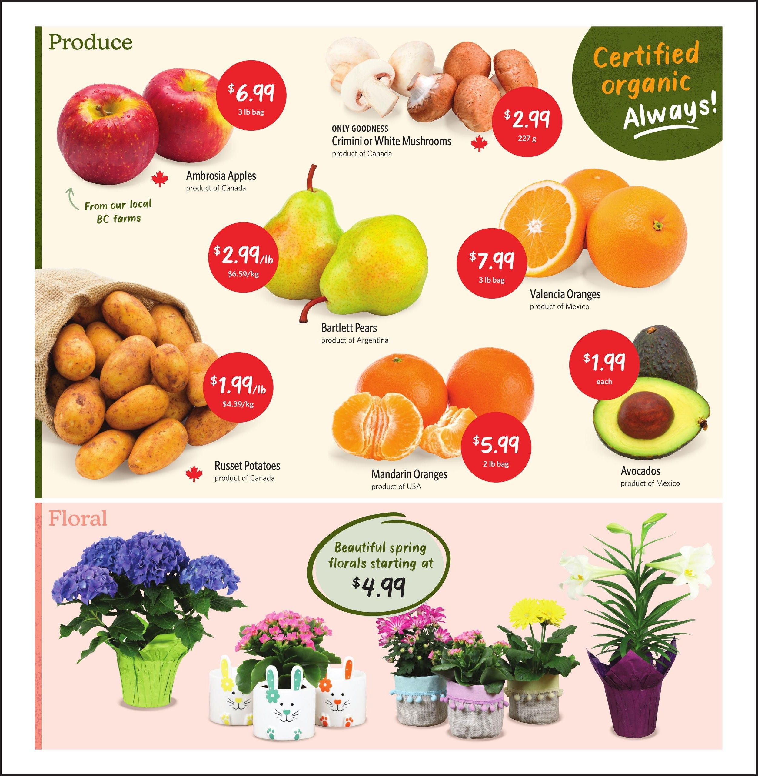 Nature's Fare Markets flyer page 5 features a selection of fresh produce and floral arrangements. Produce includes Ambrosia Apples from local BC farms for $6.99 per 3 lb bag, Bartlett Pears from Argentina for $2.99/lb, Russet Potatoes from Canada for $1.99/lb, Valencia Oranges from Mexico for $7.99 per 3 lb bag, Mandarin Oranges from the USA for $5.99 per 2 lb bag, and Avocados from Mexico for $1.99 each. Also available are ONLY GOODNESS Crimini or White Mushrooms from Canada for $2.99 per 227 g. The flyer highlights 'Certified organic Always!' The floral section showcases beautiful spring florals starting at $4.99, featuring hydrangeas, kalanchoes, gerbera daisies, and lilies in decorative pots.