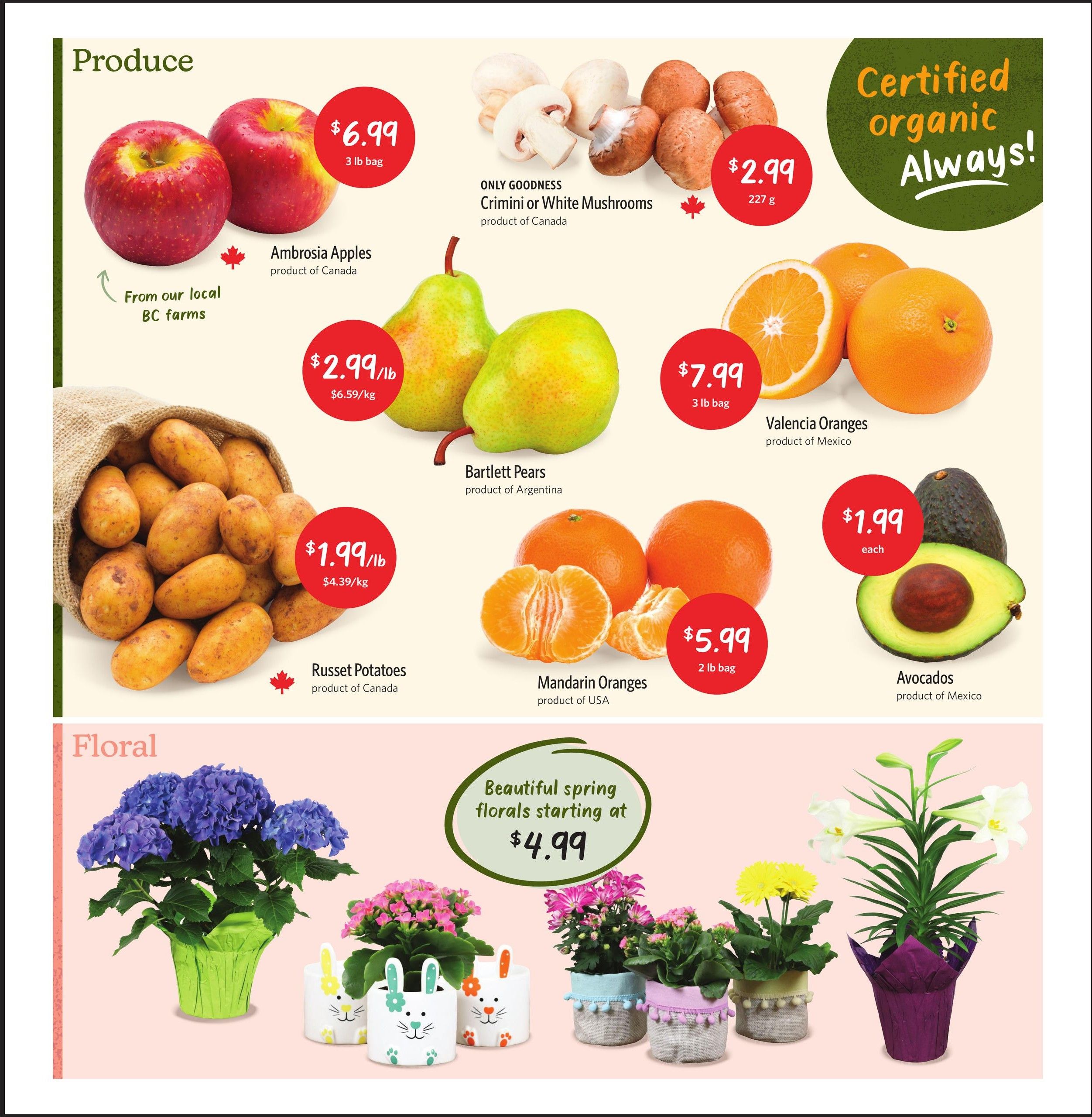 Nature's Fare Markets flyer page featuring produce and floral specials. Produce includes Ambrosia Apples from local BC farms for $6.99 per 3 lb bag, Crimini or White Mushrooms for $2.99 per 227g, Bartlett Pears for $2.99/lb ($6.59/kg), Valencia Oranges for $7.99 per 3 lb bag, Russet Potatoes from Canada for $1.99/lb ($4.39/kg), Mandarin Oranges for $5.99 per 2 lb bag, and Avocados for $1.99 each. The floral section highlights beautiful spring florals starting at $4.99, featuring potted hydrangeas, chrysanthemums, and lilies.