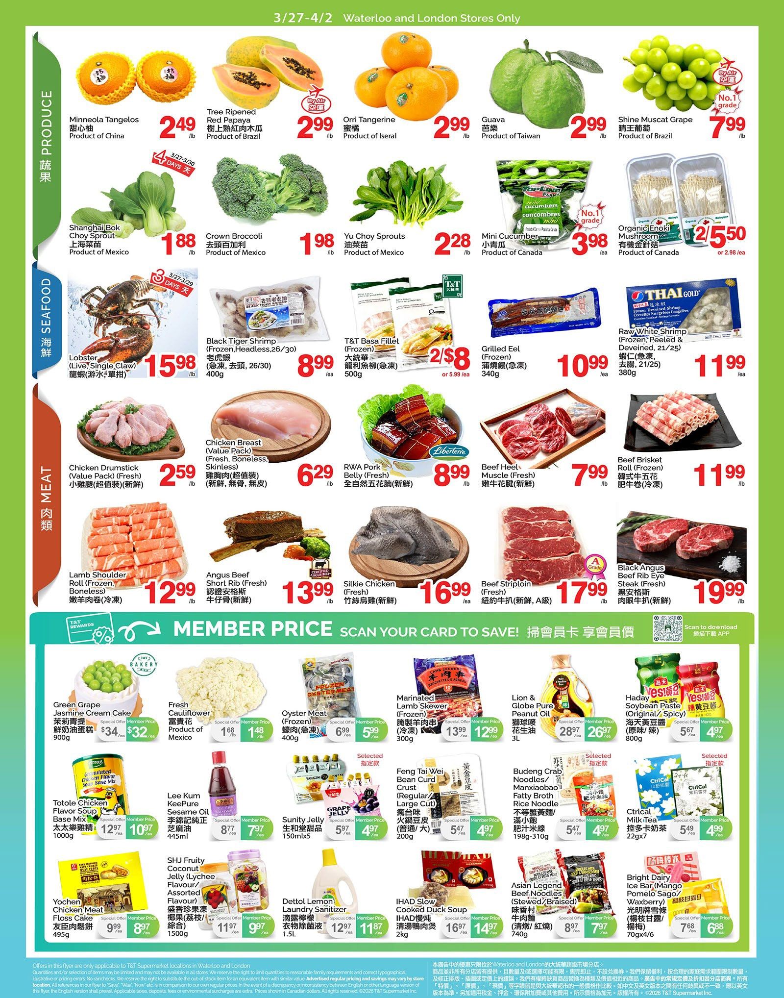 T & T Supermarket flyer page 2 features a variety of produce, seafood, and meat specials. Produce includes Minneola Tangelos for $2.49/lb, Tree Ripened Red Papaya for $2.99/lb, Orri Tangerine for $2.99/lb, Guava for $2.99/lb, and Shine Muscat Grape for $7.99/lb. Also available are Shanghai Bok Choy Sprout for $1.88/lb, Crown Broccoli for $1.98/lb, Yu Choy Sprouts for $2.28/lb, and Mini Cucumber for $3.98/ea. Seafood options include Live Single Claw Lobster for $15.98/lb, Black Tiger Shrimp (Frozen, Headless, 26/30) for $8.99/ea, T&T Basa Fillet (Frozen) for 2 for $8 or $5.99/ea, and Grilled Eel (Frozen) for $10.99/ea. Raw White Shrimp (Frozen, Peeled & Deveined, 21/25) is $11.99/ea. Meat selections feature Chicken Drumstick (Value Pack, Fresh) for $2.59/lb, Chicken Breast (Value Pack, Fresh, Boneless, Skinless) for $6.29/lb, RWA Pork Belly (Fresh) for $8.99/lb, Beef Heel Muscle (Fresh) for $7.99/lb, Lamb Shoulder Roll (Frozen, Boneless) for $12.99/lb, Angus Beef Short Rib (Fresh) for $13.99/lb, Silkie Chicken (Fresh) for $16.99/ea, Beef Striploin (Fresh, A Grade) for $17.99/lb, and Black Angus Beef Rib Eye Steak (Fresh) for $19.99/lb. Additionally, there are member prices for Green Grape Jasmine Cream Cake at $32/ea, Fresh Cauliflower for $1.48/lb, Oyster Meat (Frozen) for $5.99/ea, Marinated Lamb Skewer (Frozen) for $12.99/ea, Lion & Globe Pure Peanut Oil for $26.97/3L, Haday Soybean Paste for $4.97/ea, Totole Chicken Flavor Soup Base Mix for $10.97/ea, Lee Kum Kee Sesame Oil for $7.97/ea, Sunity Jelly for $4.97/ea, Feng Tai Wei Bean Curd Crust for $4.97/ea, Budeng Crab Noodles for $4.97/ea, Ctrl+Ctrl Milk Tea for $4.99/ea, SHJ Fruity Coconut Jelly for $9.97/ea, Dettol Laundry Sanitizer for $11.97/ea, IHAD Slow Cooked Duck Soup for $14.97/ea, Asian Legend Beef Noodles for $7.97/ea, and Bright Dairy Ice Bar for $6.88/ea.