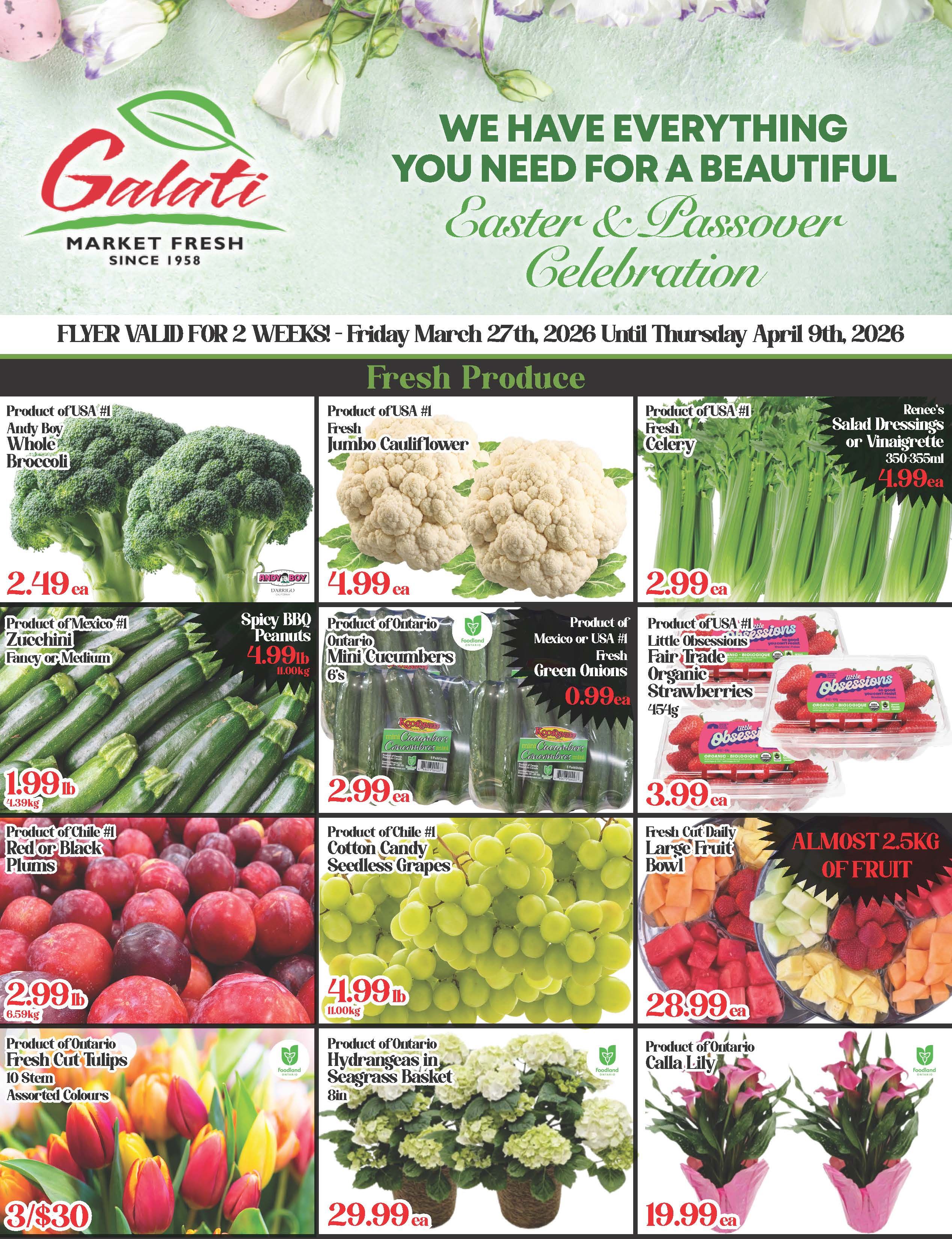 Galati Market Fresh flyer specials for Easter & Passover Celebration, valid March 27th to April 9th, 2026. Fresh produce includes: Product of USA #1 Andy Boy Whole Broccoli for $2.49 each, Product of USA #1 Fresh Jumbo Cauliflower for $4.99 each, Product of USA #1 Fresh Celery for $2.99 each, and Renee's Salad Dressings or Vinaigrette 350-355ml for $4.99 each. Also featured are Product of Mexico #1 Zucchini Fancy or Medium for $1.99lb, Spicy BBQ Peanuts for $4.99lb, Product of Ontario Mini Cucumbers 6's for $2.99 each, Product of Mexico or USA #1 Fresh Green Onions for $0.99 each, and Product of USA #1 Little Obsessions Fair Trade Organic Strawberries 454g for $3.99 each. Additional items include: Product of Chile #1 Red or Black Plums for $2.99lb, Product of Chile #1 Cotton Candy Seedless Grapes for $4.99lb, and a Fresh Cut Daily Large Fruit Bowl for $28.99 each. For floral and plant options, find Product of Ontario Fresh Cut Tulips 10 Stem Assorted Colours at 3 for $30, Product of Ontario Hydrangeas in Seagrass Basket 8in for $29.99 each, and Product of Ontario Calla Lily for $19.99 each.