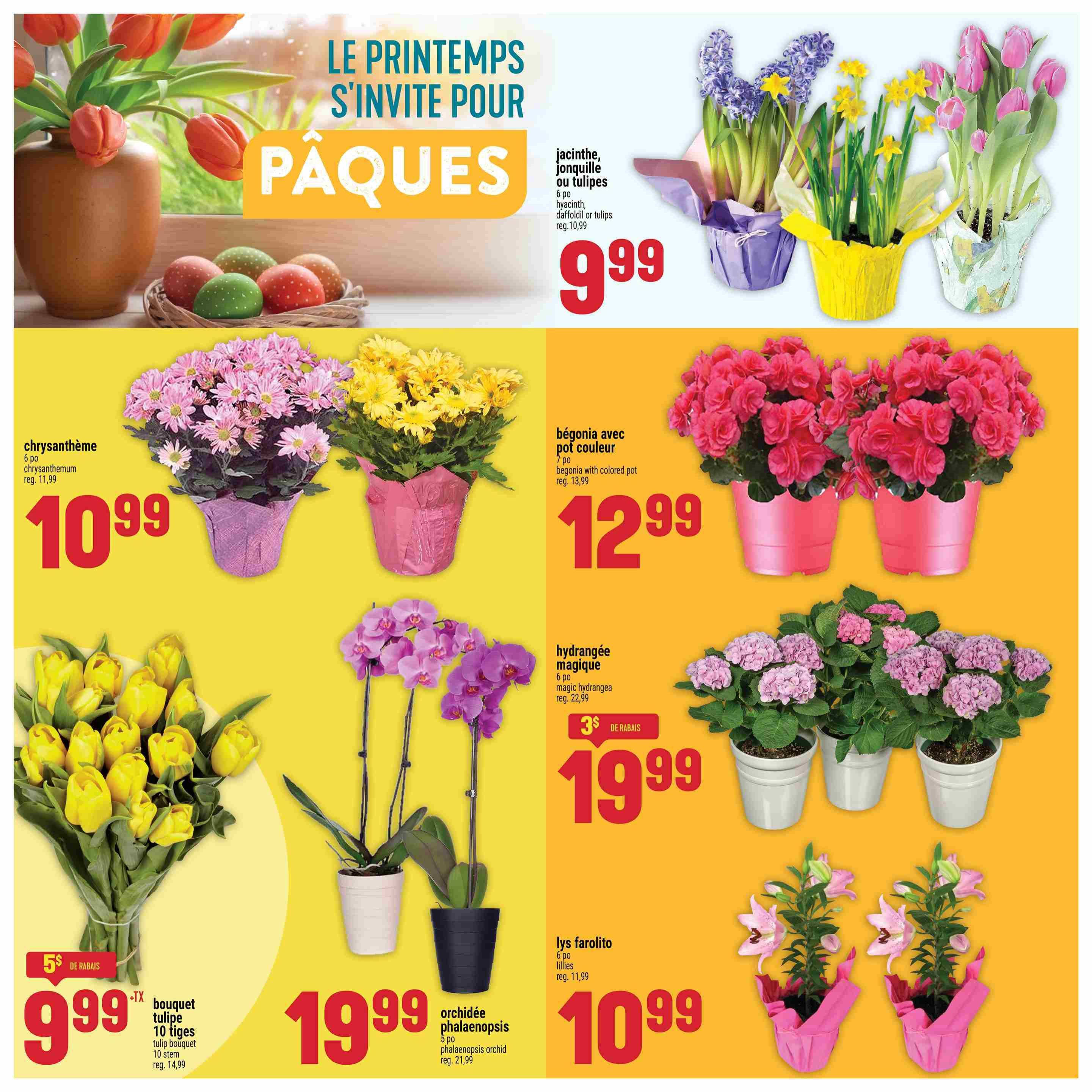 Adonis Weekly Flyer Specials Page 8 features spring and Easter floral arrangements. Top section showcases 'Le Printemps S'invite Pour Pâques' (Spring Invites You for Easter). Potted hyacinths, daffodils, or tulips are $9.99, regularly $10.99. Below, find a 6-pot chrysanthemum for $10.99, regular price $11.99. A 7-pot begonia with a coloured pot is $12.99, regular price $13.99. On the left, a 10-stem tulip bouquet is $9.99, with a $5 discount, regular price $14.99. A 3-pot magic hydrangea is $19.99, with a $3 discount, regular price $22.99. Finally, a 3-pot phalaenopsis orchid is $19.99, regular price $21.99, and 6-pot lilies are $10.99, regular price $11.99.