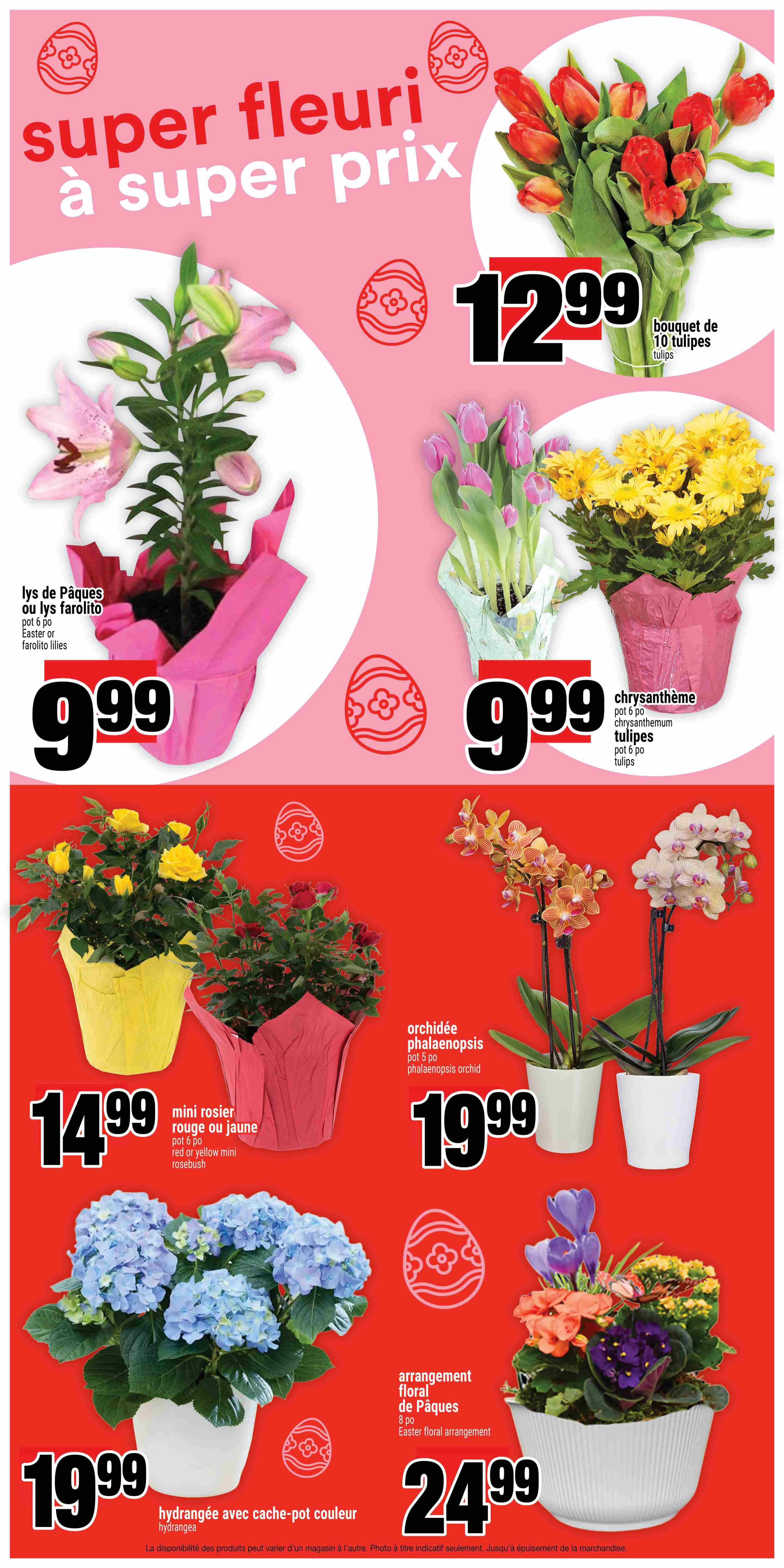 Super C flyer page featuring a variety of floral arrangements and plants for spring. Top section showcases a bouquet of 10 tulips for $12.99. Below, Easter or farolito lilies in a pot are priced at $9.99. To the right, potted tulips and chrysanthemums in a 6-inch pot are available for $9.99. The bottom section displays red or yellow mini rosebushes in a 6-inch pot for $14.99. Also featured are phalaenopsis orchids in a 5-inch pot for $19.99, a hydrangea with a decorative pot for $19.99, and an Easter floral arrangement in an 8-inch pot for $24.99.