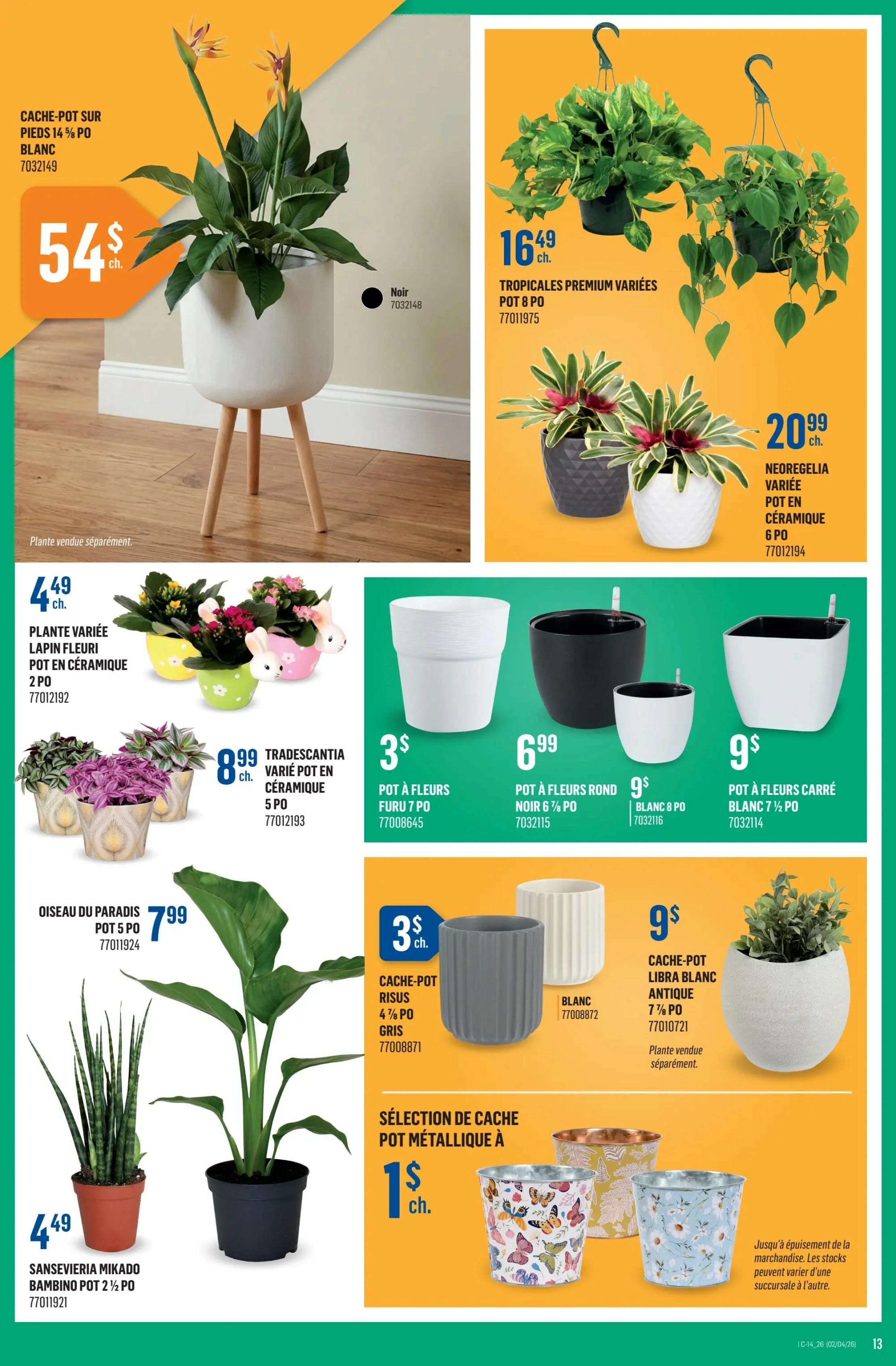 Canac weekly flyer specials page 14 features a large white planter with wooden legs for $54. Tropical premium assorted plants in 8-inch pots are $16.49. Neoregelia assorted plants in 6-inch ceramic pots are $20.99. Assorted flowering rabbit pots in ceramic, 2-piece, are $4.49. Tradescantia assorted plants in 5-inch ceramic pots are $8.99. Several flower pots are displayed: a 7-inch Furu pot for $3, a round 6-inch pot in black for $6.99, and an 8-inch white pot for $9. A square 7 1/2-inch white flower pot is $9. The Bird of Paradise plant in a 5-inch pot is $7.99. The Sansevieria Mikado Bambino plant in a 2 1/2-inch pot is $4.49. A grey 4 3/4-inch cache-pot is $3. Assorted metallic cache-pots are available starting at $1. Plants are sold separately for some items. While supplies last, stock may vary by store.