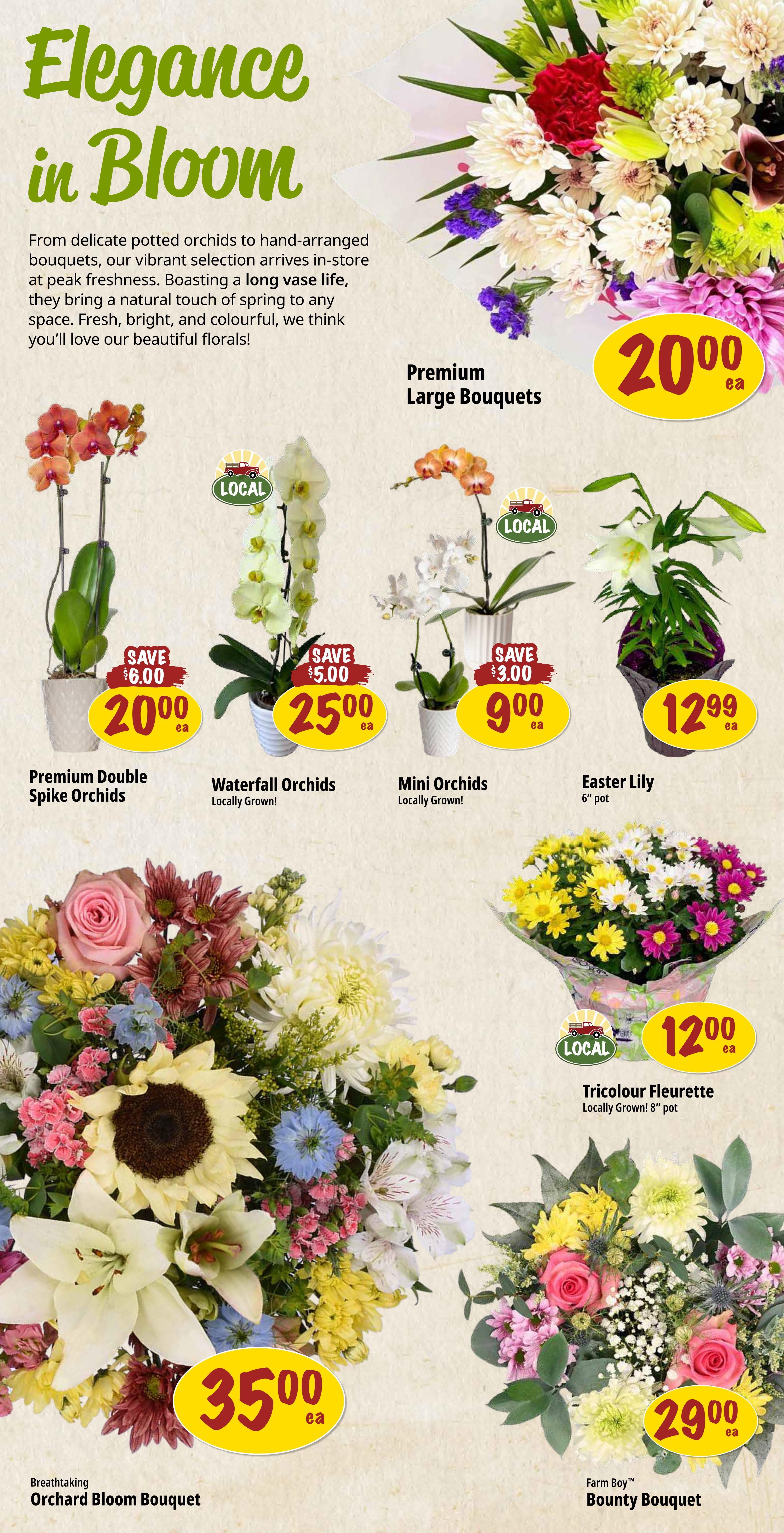 Farm Boy weekly flyer specials page 5 features 'Elegance in Bloom' floral arrangements. Premium Large Bouquets are $20.00 each. Potted orchids include Premium Double Spike Orchids for $20.00 (save $6.00), Waterfall Orchids (Locally Grown) for $25.00 (save $5.00), and Mini Orchids (Locally Grown) for $9.00 (save $3.00). An Easter Lily in a 6' pot is $12.99. Featured bouquets include the Breathtaking Orchard Bloom Bouquet for $35.00 and the Farm Boy™ Bounty Bouquet for $29.00. The Tricolour Fleurette (Locally Grown, 8' pot) is $12.00.