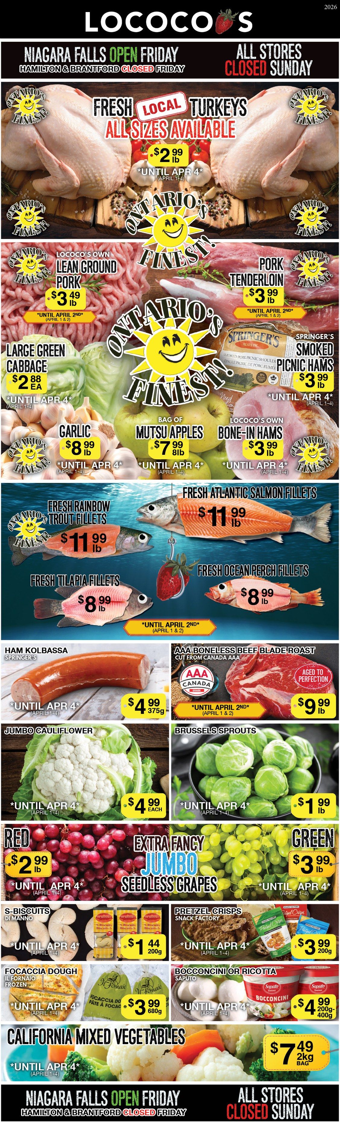 Lococo's flyer featuring weekly specials valid from April 1st to April 4th, 2026. Niagara Falls location is open Friday, while Hamilton and Brantford locations are closed Friday. All stores are closed Sunday. The flyer highlights Fresh Local Turkeys, all sizes available, for $2.99 per lb, valid until April 4th. Lococo's Own Lean Ground Pork is $3.49 per lb, and Pork Tenderloin is $3.99 per lb, both valid until April 2nd. Large Green Cabbage is $2.88 each, and Springer's Smoked Picnic Hams are $3.99 per lb, both valid until April 4th. Garlic is offered at $8.99 per lb, and a bag of Mutsu Apples (8lb) for $7.99, both until April 4th. Lococo's Own Bone-In Hams are $3.99 per lb, valid until April 4th. The seafood section includes Fresh Rainbow Trout Fillets for $11.99 per lb, Fresh Atlantic Salmon Fillets for $11.99 per lb, Fresh Tilapia Fillets for $8.99 per lb, and Fresh Ocean Perch Fillets for $8.99 per lb, all valid until April 2nd. Springer's Ham Kolbassa (375g) is $4.99, until April 4th. AAA Boneless Beef Blade Roast, cut from Canada AAA and aged to perfection, is $9.99 per lb, until April 2nd. Jumbo Cauliflower is $4.99 each, and Brussels Sprouts are $1.99 per lb, both until April 4th. Extra Fancy Jumbo Seedless Grapes are available in Red for $2.99 per lb and Green for $3.99 per lb, both until April 4th. S-Biscuits Di Manno (200g) are $1.44, and Pretzel Crisps Snack Factory (200g) are $3.99, both until April 4th. Il Fornaio Frozen Focaccia Dough (680g) is $3.99, until April 4th. Saputo Bocconcini or Ricotta (200g or 400g) is $4.99, until April 4th. California Mixed Vegetables (2kg bag) are $7.49, until April 4th. The bottom banner reiterates the store hours and closures.