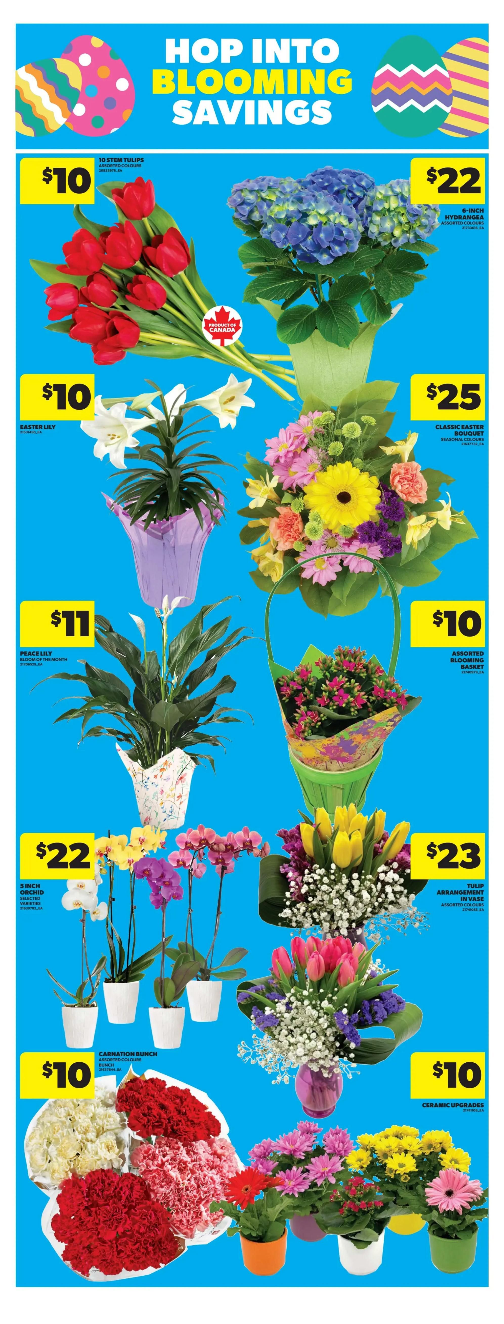 Real Canadian Superstore flyer page featuring 'Hop Into Blooming Savings' with various floral arrangements and plants. Offers include 10 stem tulips for $10, Easter lilies for $10, a peace lily for $11, and 5-inch orchids in selected varieties for $22. Also featured are a 6-inch hydrangea for $22, a classic Easter bouquet for $25, an assorted blooming basket for $10, a tulip arrangement in a vase for $23, carnation bunches for $10, and ceramic upgrade plants for $10. Prices are valid from April 2 to April 8, 2026.