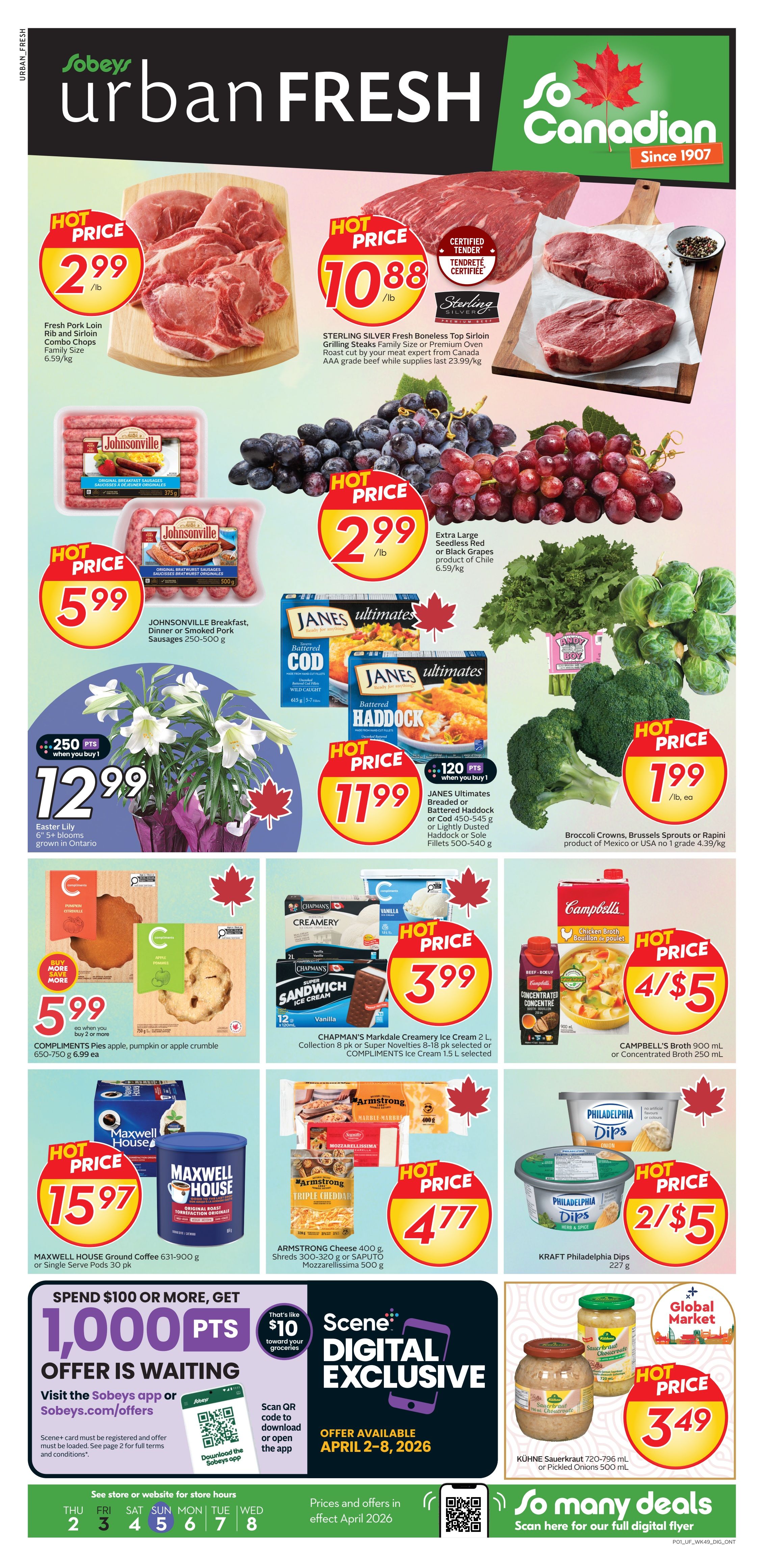 Sobeys Urban Fresh flyer page 1 specials include: Fresh Pork Loin Rib and Sirloin Combo Chops Family Size for $2.99/lb, STERLING SILVER Fresh Boneless Top Sirloin Grilling Steaks Family Size or Premium Oven Roast cut by your meat expert from Canada AAA grade beef for $10.88/lb, JOHNSONVILLE Breakfast, Dinner or Smoked Pork Sausages 250-500 g for $5.99, Extra Large Seedless Red or Black Grapes product of Chile for $2.99/lb, Easter Lily 6'+ blooms grown in Ontario for $12.99 with 250 bonus Scene+ points when you buy 1, JANES Ultimates Breaded or Battered Cod 415 g or Haddock 455 g or Sole Fillets 500-540 g for $11.99 with 120 bonus Scene+ points when you buy 1, Broccoli Crowns, Brussels Sprouts or Rapini product of Mexico or USA no 1 grade for $1.99/lb, COMPLIMENTS Pies apple, pumpkin or apple crumble 650-750 g for $5.99 when you buy 2, CHAPMAN'S Creamery Ice Cream 2 L Collection 8 pk or Super Novelties 8-18 pk selected or COMPLIMENTS Ice Cream 1.5 L selected for $3.99, CAMPBELL'S Broth 900 mL or concentrated Broth 250 mL, MAXWELL HOUSE Ground Coffee 631-900 g or Single Serve Pods 30 pk for $15.97, ARMSTRONG Cheese 400 g, Shreds 300-320 g or SAPUTO Mozzarella 500 g for $4.77, KRAFT Philadelphia Dips 227 g for 2/$5, KÜHNE Sauerkraut 720-796 mL or Pickled Onions 500 mL for $3.49. Spend $100 or more, get 1,000 Scene+ points, that's like $10 toward your groceries. Offer available April 2-8, 2026. Scene+ digital exclusive offer.