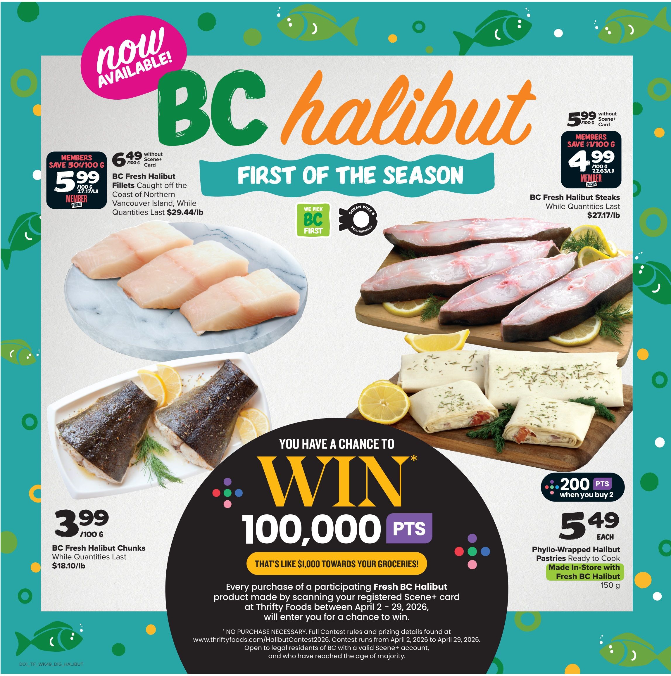 Thrifty Foods weekly flyer specials page 13 features BC Halibut, first of the season. Members save 50¢/100g on BC Fresh Halibut Fillets, caught off the coast of Northern Vancouver Island, priced at $5.99/100g or $29.44/lb, while quantities last. BC Fresh Halibut Steaks are available for $5.99/100g without Scene+ card, and members save $1/100g to $4.99/100g or $22.63/lb, while quantities last. BC Fresh Halibut Chunks are priced at $3.99/100g or $18.10/lb, while quantities last. Phyllo-Wrapped Halibut Pastries, ready to cook and made in-store with Fresh BC Halibut, are $5.49 each when you buy 2, and include 200 bonus Scene+ points. The flyer also promotes a chance to win 100,000 Scene+ points (worth $1,000 towards groceries) by purchasing a participating Fresh BC Halibut product and scanning your registered Scene+ card between April 2-29, 2026. Full contest details are available at thriftyfoods.com/HalibutContest2026.