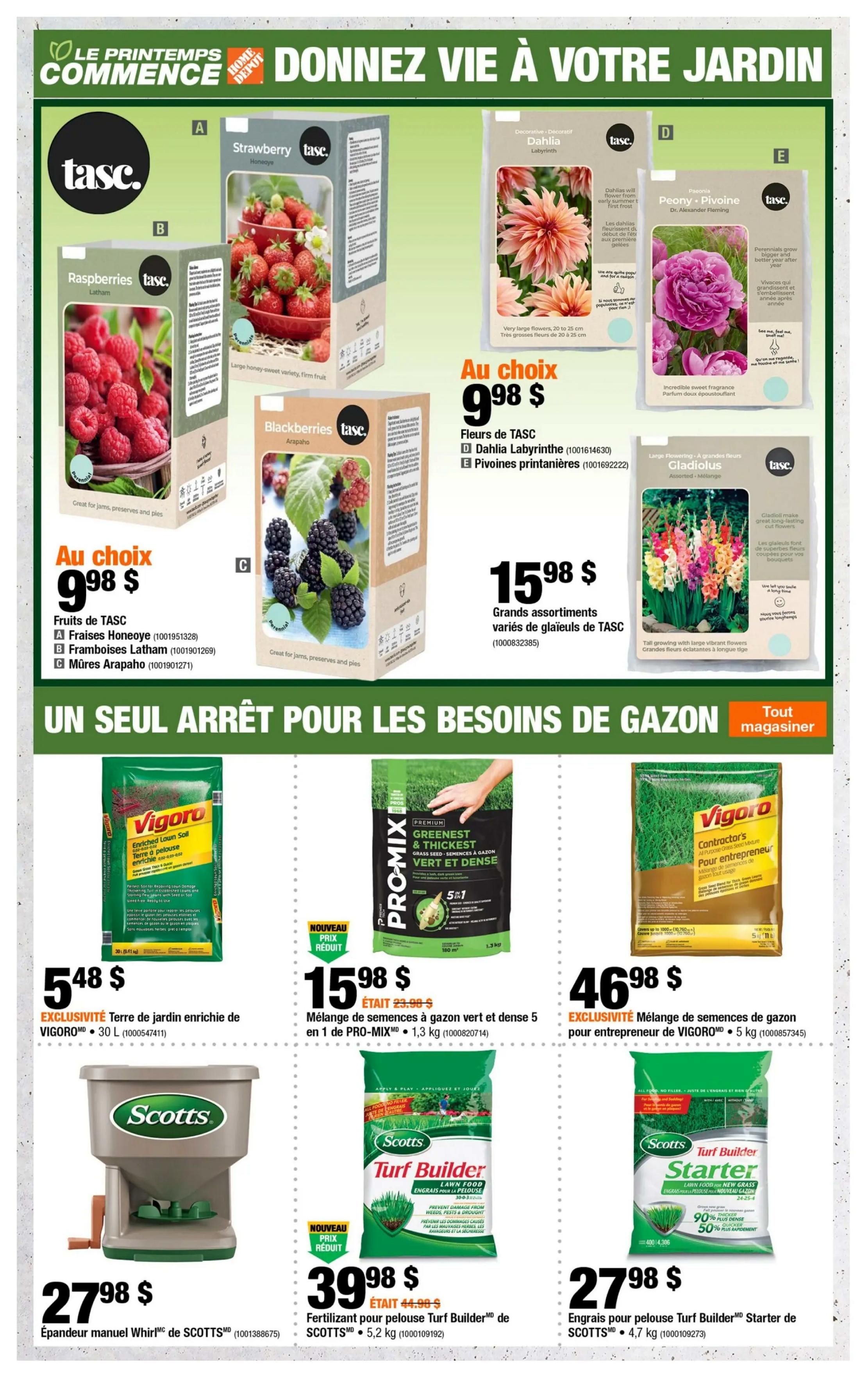 Home Depot flyer page 4 features a variety of garden products. Top section showcases TASC plants: Strawberry Honeoye for $9.98, Raspberries Latham for $9.98, and Blackberries Arapaho for $9.98. Also featured are TASC Dahlias Labyrinth and Peony Pivoine, with assorted Gladiolus from TASC for $15.98. The bottom section focuses on lawn care: Vigoro enriched loam soil 30 L for $5.48, PRO-MIX 5-in-1 green and dense grass seed 1.3 kg for $15.98 (originally $23.98), Vigoro contractor's mix grass seed 5 kg for $46.98, Scotts manual Whirlwind spreader for $27.98, Scotts Turf Builder lawn food 5.2 kg for $39.98 (originally $44.98), and Scotts Turf Builder Starter grass seed 4.7 kg for $27.98.
