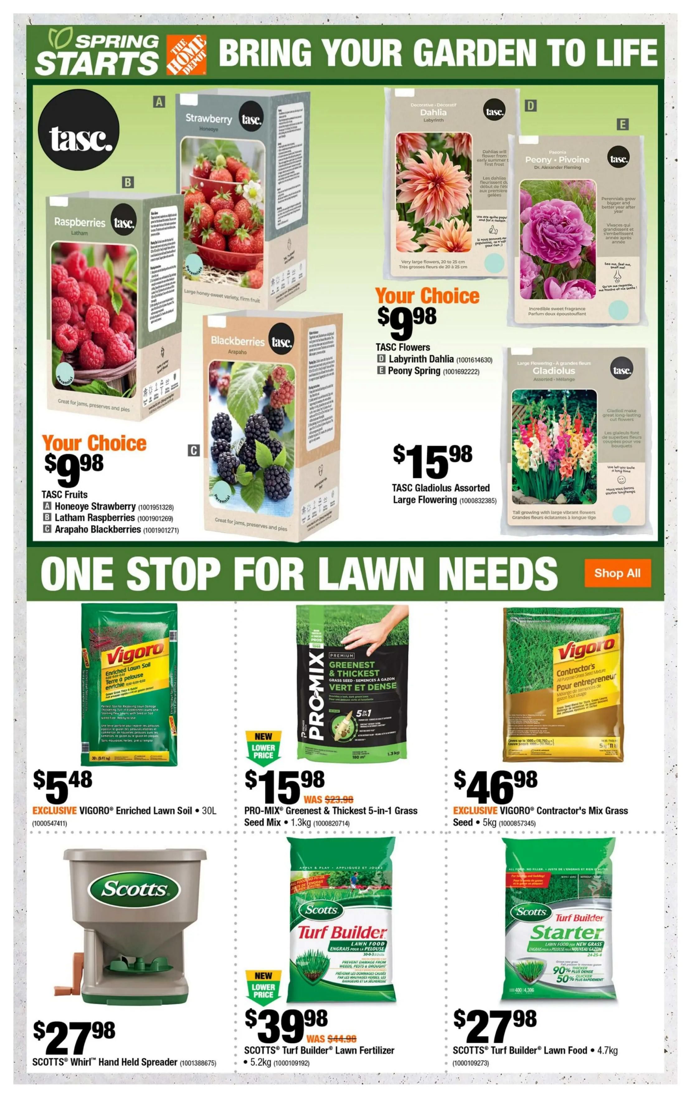 Home Depot flyer page 4 features 'Spring Starts Bring Your Garden to Life' with TASC fruits and flowers. Your choice of TASC Fruits including Honeoye Strawberry for $9.98, Latham Raspberries for $9.98, and Arapaho Blackberries for $9.98. Also featured are TASC Flowers: Labyrinth Dahlia for $9.98 and Peony Spring for $9.98. TASC Gladiolus Assorted Large Flowering are $15.98. The page also highlights 'One Stop For Lawn Needs' with Vigoro Enriched Lawn Soil 30L for $5.48, PRO-MIX Greenest & Thickest 5-in-1 Grass Seed Mix 1.3kg for $15.98 (was $23.98), and Vigoro Contractor's Mix Grass Seed 5kg for $46.98. Scotts products include the Scotts Whirl Hand Held Spreader for $27.98, Scotts Turf Builder Lawn Fertilizer 5.2kg for $39.98 (was $44.98), and Scotts Turf Builder Starter Lawn Food 4.7kg for $27.98.