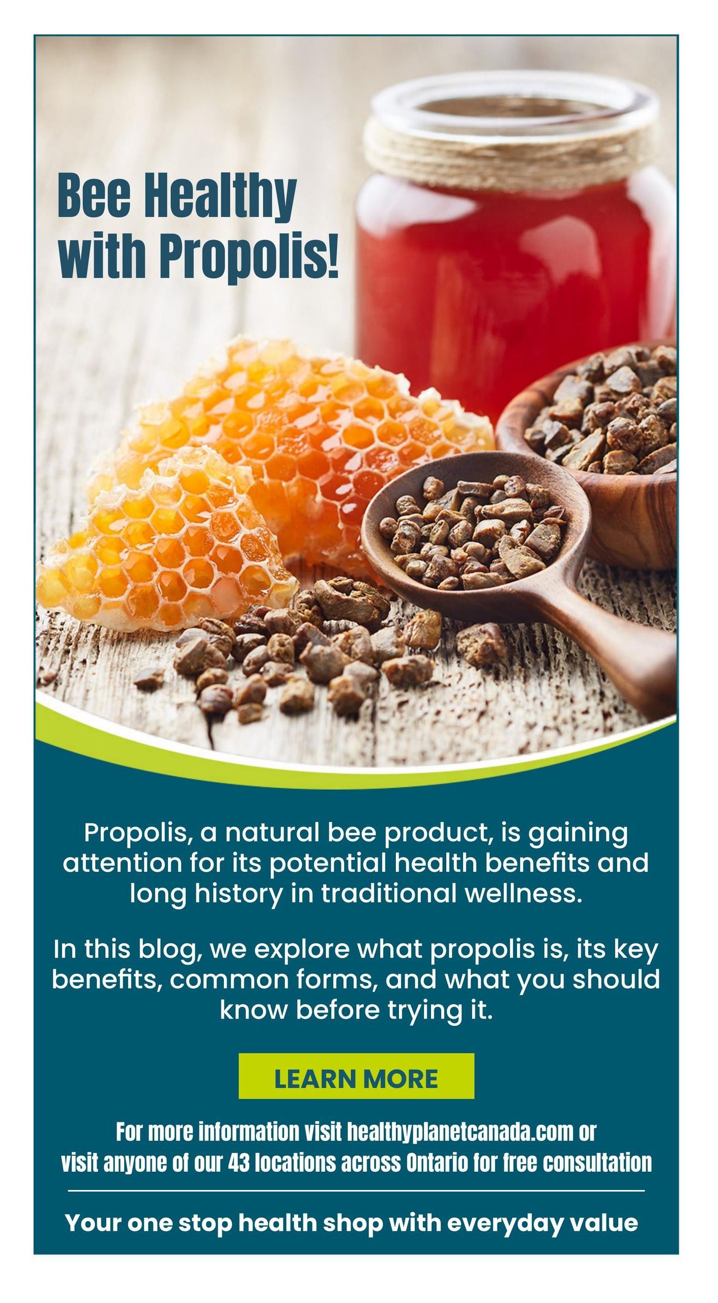 Healthy Planet flyer page 16 features an article titled 'Bee Healthy with Propolis!' showcasing propolis, honeycomb, and a jar of honey. The text explains that propolis is a natural bee product gaining attention for its potential health benefits and long history in traditional wellness. It invites readers to explore an article about propolis, its benefits, common forms, and what to know before trying it. A 'Learn More' button is visible. For additional information, visitors can go to healthyplanetcanada.com or visit any of their 43 locations across Ontario for a free consultation. The page concludes with the tagline 'Your one stop health shop with everyday value'.