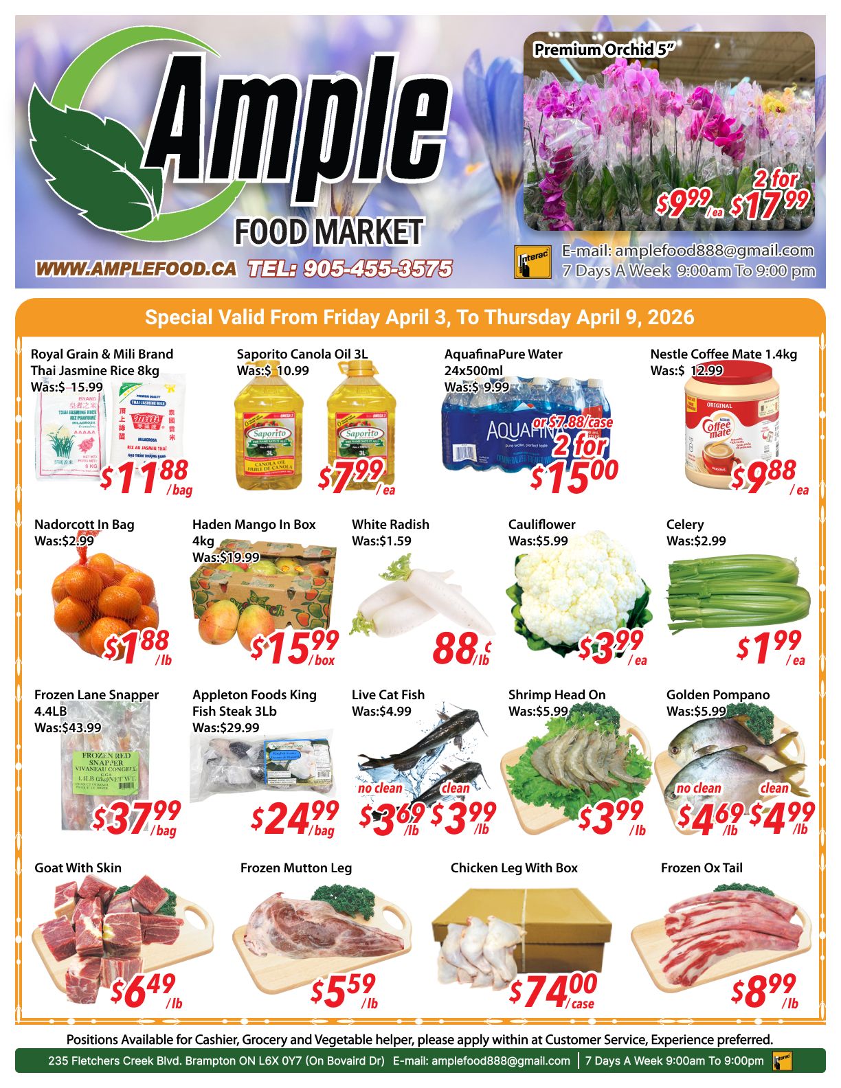 Ample Food Market weekly flyer specials for Brampton Store, valid April 3 to April 9, 2026. Featured items include Royal Grain & Mili Brand Thai Jasmine Rice 8kg for $11.88/bag, Saporito Canola Oil 3L for $7.99/ea, and Aquafina Pure Water 24x500ml for 2 for $15.00. Also available are Nestle Coffee Mate 1.4kg for $9.88/ea, Nadorcott In Bag for $1.88/lb, Haden Mango In Box 4kg for $15.99/box, White Radish for $0.88/lb, Cauliflower for $3.99/ea, and Celery for $1.99/ea. Seafood specials include Frozen Lane Snapper 4.4Lb for $37.99/bag, Appleton Foods King Fish Steak 3Lb for $24.99/bag, Live Cat Fish for $3.69/lb or $3.99/lb, Shrimp Head On for $3.99/lb, and Golden Pompano for $4.69/lb or $4.99/lb. Meat specials include Goat With Skin for $6.49/lb, Frozen Mutton Leg for $5.59/lb, Chicken Leg With Box for $74.00/case, and Frozen Ox Tail for $8.99/lb. Premium Orchids are 2 for $17.99.