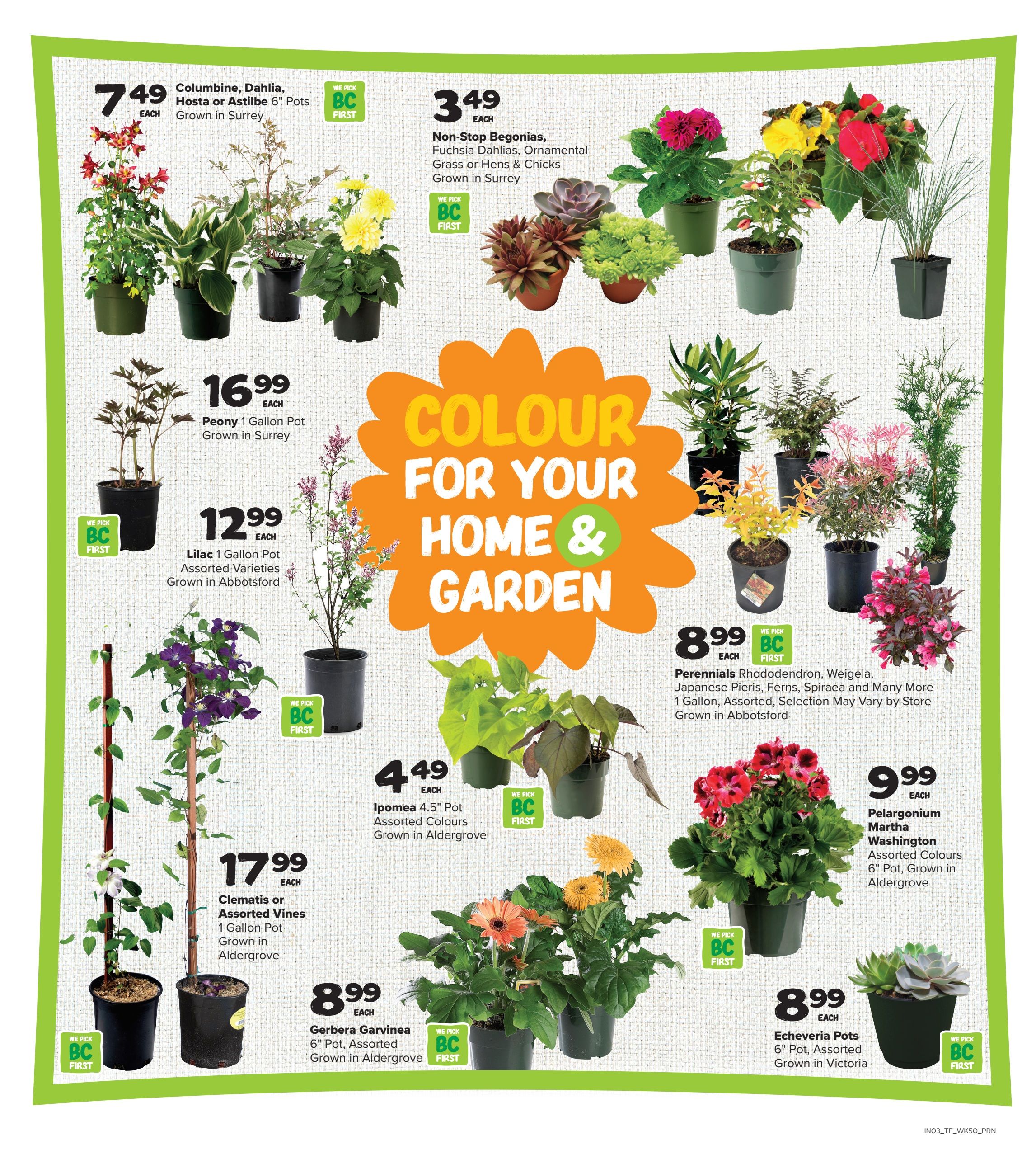 Thrifty Foods - Grow Flyer - Valid from April 9 to 22, 2026 - Page 3