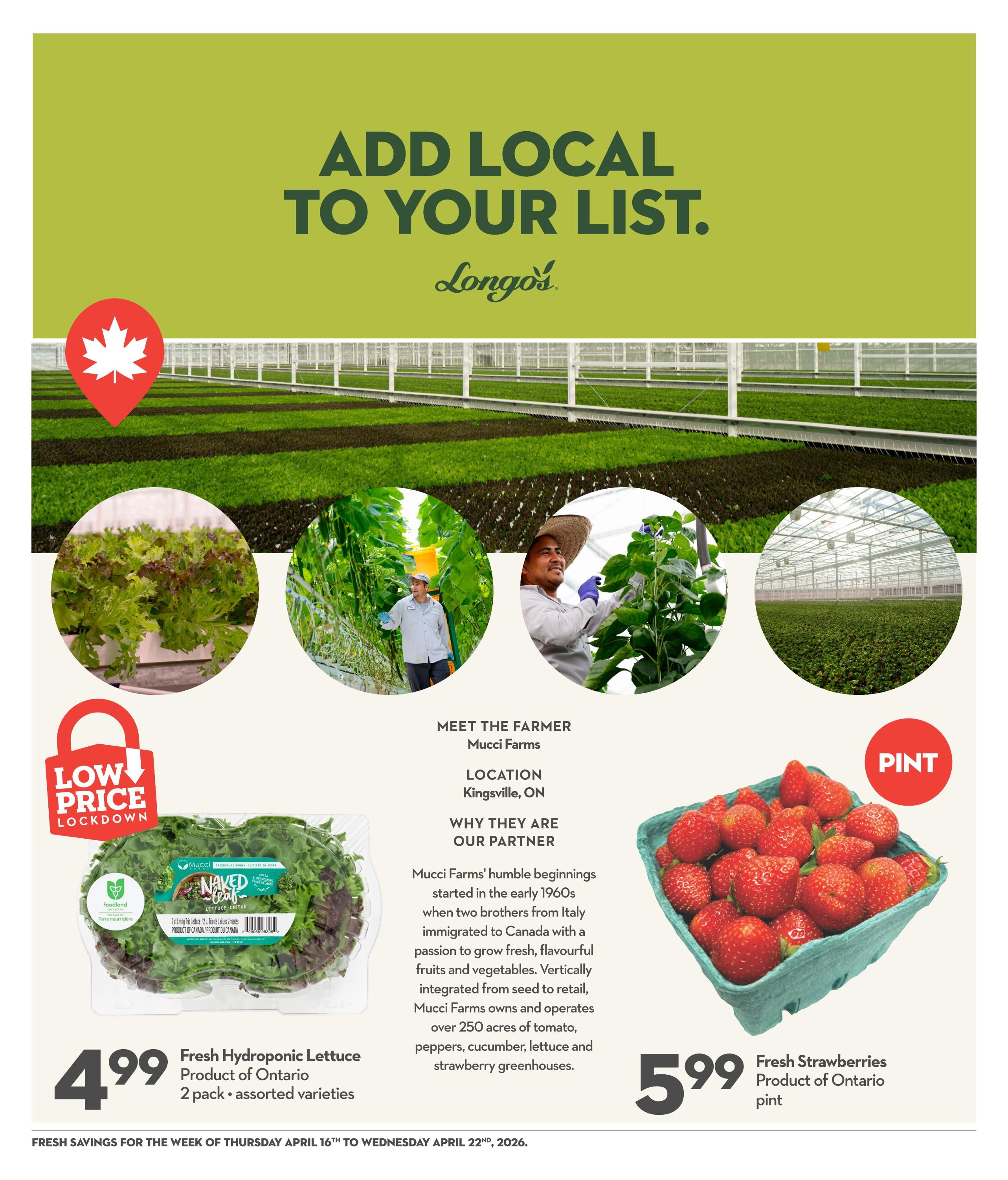 Garden Foods flyer page featuring 'Add Local to Your List' with Longos branding. Showcases Mucci Farms, located in Kingsville, ON, as a partner. Featured products include Fresh Hydroponic Lettuce, Product of Ontario, 2 pack of assorted varieties for $4.99, and Fresh Strawberries, Product of Ontario, pint for $5.99. The page highlights the farmer's story and Mucci Farms' extensive greenhouses growing tomatoes, peppers, cucumbers, lettuce, and strawberries. The flyer is valid from Thursday, April 16th to Wednesday, April 22nd, 2026.