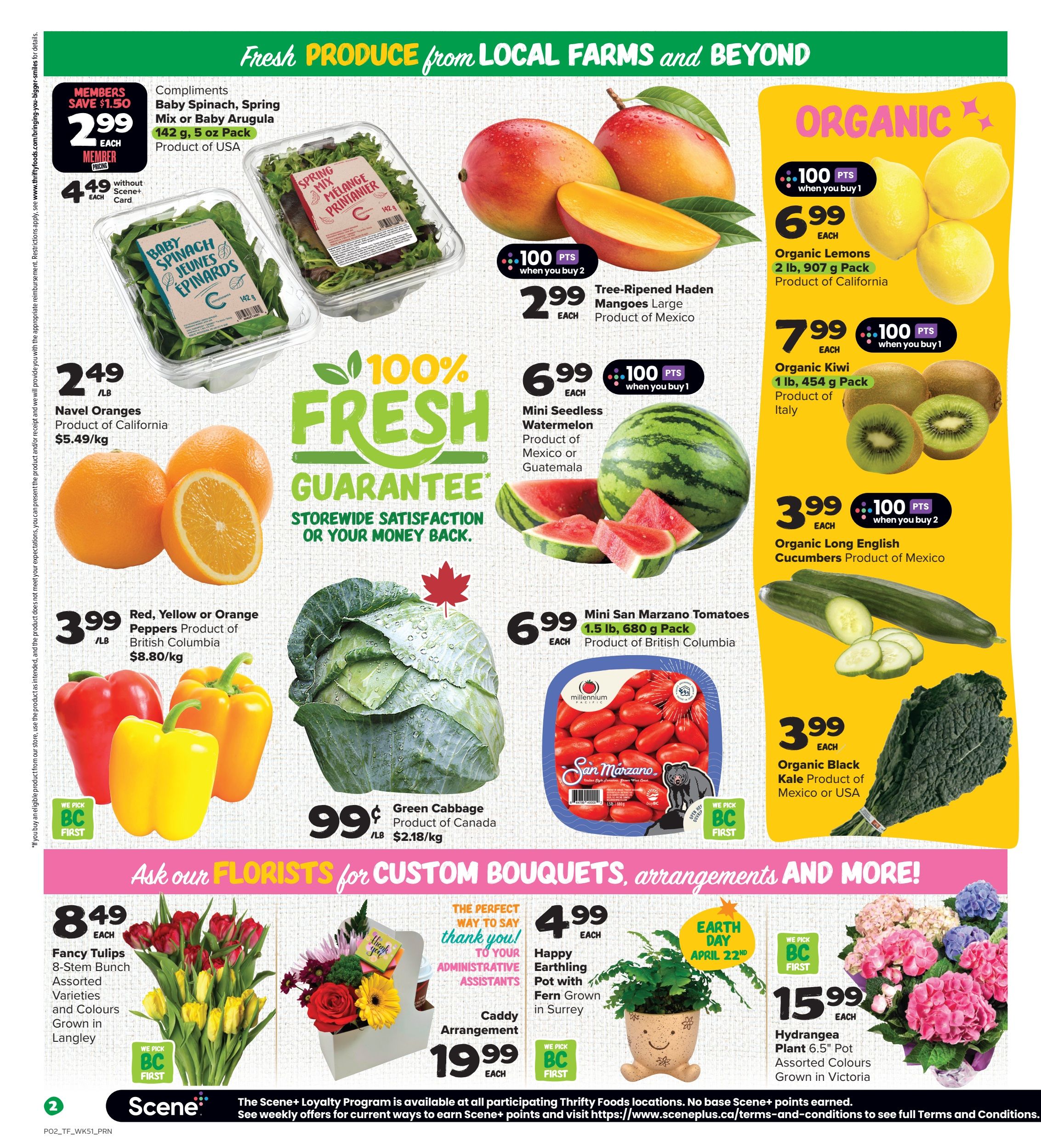 Thrifty Foods weekly flyer specials page 3 featuring fresh produce. Compliments Baby Spinach, Spring Mix or Baby Arugula 142 g, 5 oz pack, Product of USA, is $2.99 each for members with Scene+ card, or $4.49 without. Navel Oranges, Product of California, are $2.49/lb. Red, Yellow or Orange Peppers, Product of British Columbia, are $3.99/lb. Green Cabbage, Product of Canada, is $0.99/lb. Organic Lemons 2 lb, 907 g pack, Product of California, are $6.99 each with 100 bonus Scene+ points when you buy 1. Organic Kiwi 1 lb, 454 g pack, Product of Italy, are $7.99 each with 100 bonus Scene+ points when you buy 1. Tree-Ripened Haden Mangoes Large, Product of Mexico, are $2.99 each with 100 bonus Scene+ points when you buy 2. Mini Seedless Watermelon, Product of Mexico or Guatemala, is $6.99 each with 100 bonus Scene+ points when you buy 1. Mini San Marzano Tomatoes 1.5 lb, 680 g pack, Product of British Columbia, are $6.99 each. Organic Long English Cucumbers, Product of Mexico, are $3.99 each with 100 bonus Scene+ points when you buy 2. Organic Black Kale, Product of Mexico or USA, is $3.99 each. Also featured are floral arrangements: Fancy Tulips 8-Stem Bunch, Assorted Varieties and Colours Grown in Langley, are $8.49 each. A Caddy Arrangement is $19.99 each. A Happy Earthling Pot with Fern Grown in Surrey is $4.99 each. Hydrangea Plant 6.5' Pot, Assorted Colours Grown in Victoria, is $15.99 each. The page highlights '100% Fresh Guarantee' and 'Ask our Florists for Custom Bouquets, arrangements and more!
