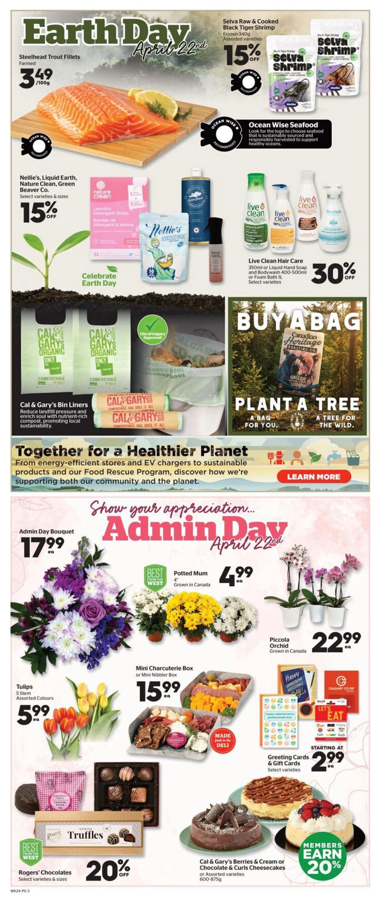 Calgary Co-op flyer page 3 features Earth Day specials. Steelhead Trout Fillets (Farmed) are $3.49/100g. Selva Raw & Cooked Black Tiger Shrimp (Frozen 340g, assorted varieties) are 15% off. Nellie's, Liquid Earth, Nature Clean, and Green Beaver Co. products (select varieties & sizes) are 15% off. Live Clean Hair Care (350ml or Liquid Hand Soap and Bodywash 400-500ml or Foam Bath 1L, select varieties) are 30% off. Cal & Gary's Bin Liners are featured with a 'Buy a Bag, Plant a Tree' promotion. The page also highlights Admin Day specials with an Admin Day Bouquet for $17.99, Potted Mums (4', Grown in Canada) for $4.99, Tulips (5 stem, assorted colours) for $5.99, Piccola Orchids (Grown in Canada) for $22.99, Mini Charcuterie Box or Mini Nibbler Box for $15.99. Greeting Cards & Gift Cards (select varieties) start at $2.99. Rogers' Chocolates (select varieties & sizes) are 20% off. Cal & Gary's Berries & Cream or Chocolate & Curls Cheesecakes (assorted varieties, 600-875g) offer members 20% earnings. A section titled 'Together for a Healthier Planet' promotes sustainability initiatives.