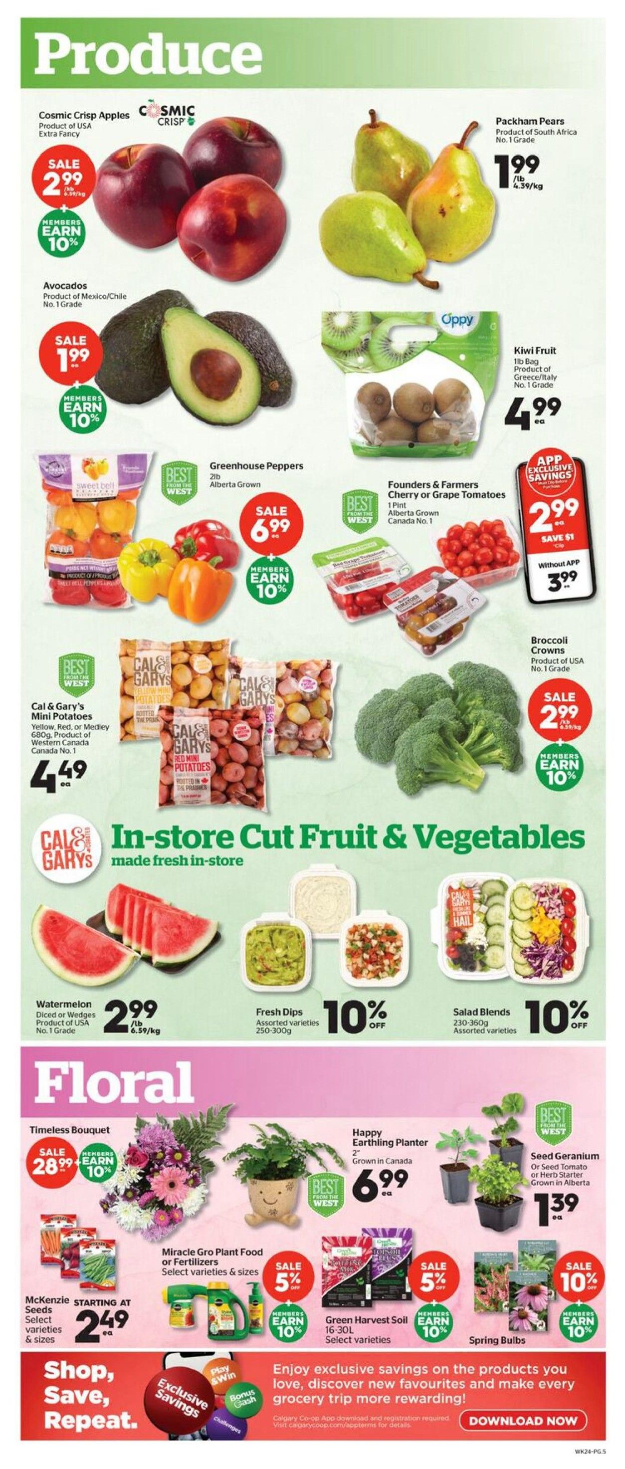 Calgary Co-op Weekly Flyer Specials Page 5 features a wide selection of fresh produce and floral items. Produce highlights include Cosmic Crisp Apples for $2.99, Avocados for $1.99, and Packham Pears for $1.99/lb. Also featured are Oppy Kiwi Fruit for $4.99, Greenhouse Peppers for $6.99, and Founders & Farmers Cherry or Grape Tomatoes for $2.99 with app exclusive savings (save $1, or $3.99 without app). Cal & Gary's Mini Potatoes are available for $4.49. Broccoli Crowns are on sale for $2.99. The page also showcases in-store cut fruit & vegetables, including Watermelon for $2.99/lb, Fresh Dips and Salad Blends at 10% off. The Floral section offers a Timeless Bouquet for $2.99, Happy Earthling Planters for $6.99, and Seed Geranium or Herb Starter plants for $1.39. Miracle Gro Plant Food or Fertilizers are 5% off, with members earning 10%. Green Harvest Soil (16-30L) is 5% off, with members earning 10%. Spring Bulbs are 10% off, with members earning 10%. The bottom of the page promotes exclusive savings and app downloads.
