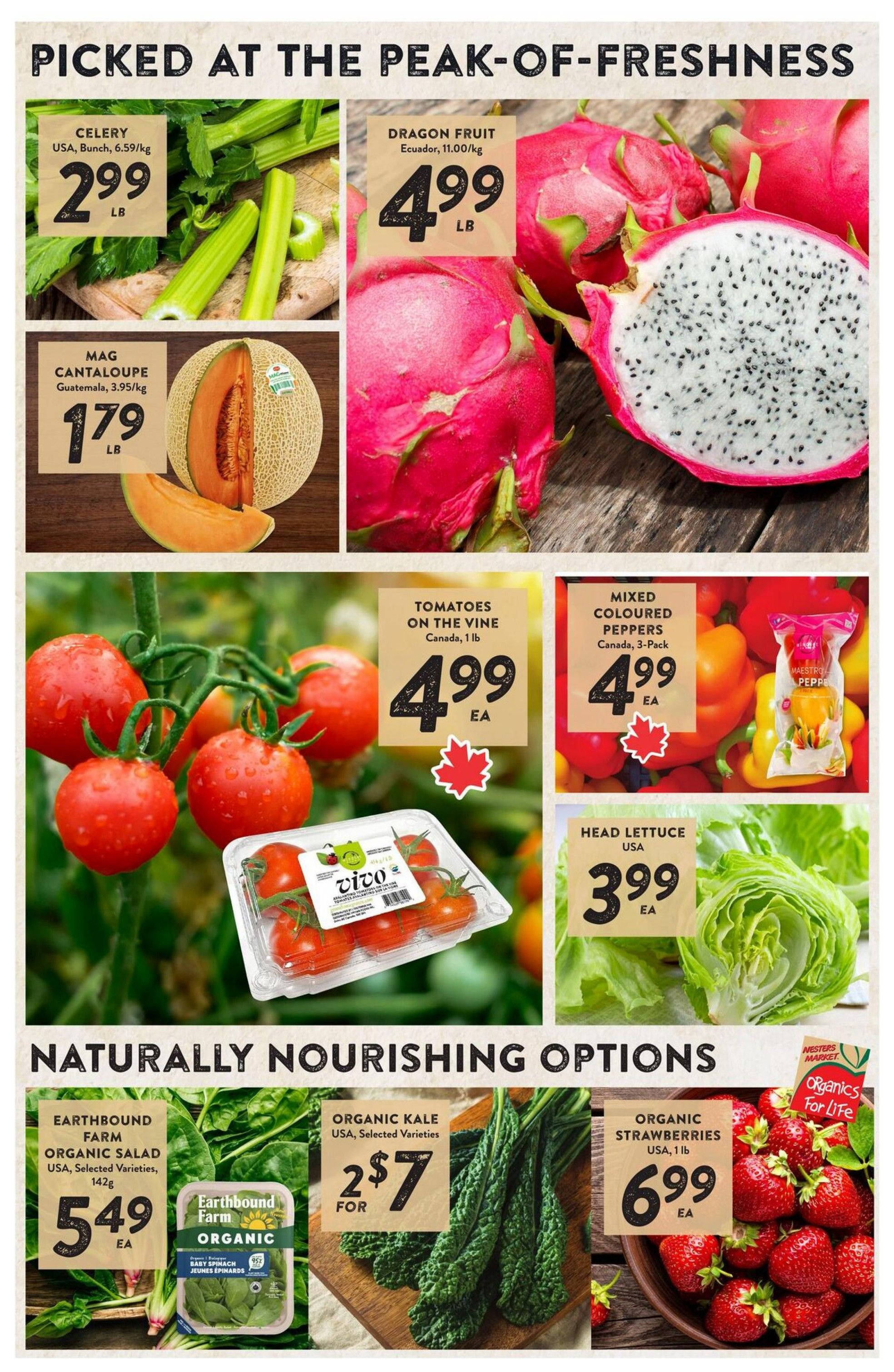 Nesters Market weekly flyer specials page 3 features fresh produce. Celery from the USA is $2.99 per lb. Dragon Fruit from Ecuador is $4.99 per lb. Mag Cantaloupe from Guatemala is $1.79 per lb. Tomatoes on the vine from Canada are $4.99 each. Mixed coloured peppers, a 3-pack from Canada, are $4.99 each. Head lettuce from the USA is $3.99 each. Naturally nourishing options include Earthbound Farm Organic Salad, selected varieties from the USA, 142g for $5.49 each. Organic Kale, selected varieties from the USA, is $2.57 for 2. Organic Strawberries, 1 lb from the USA, are $6.99 each.