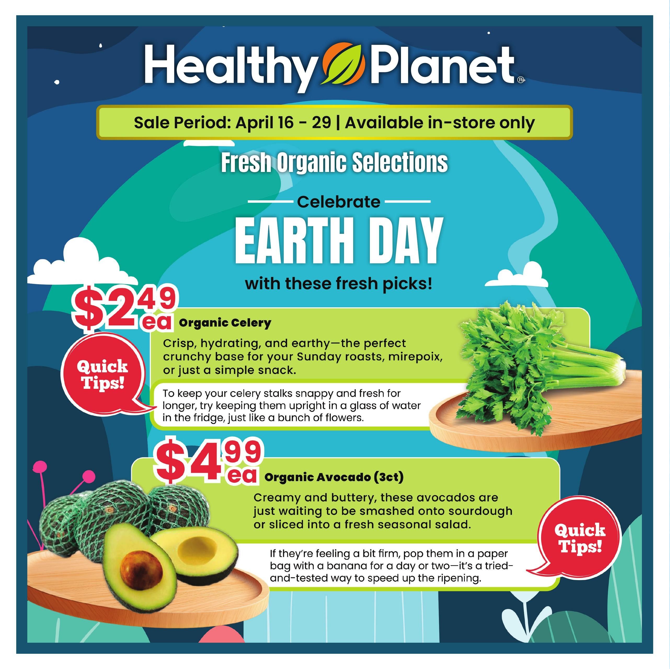 Healthy Planet flyer celebrating Earth Day with fresh organic selections. Featured items include Organic Celery for $2.49 each, described as crisp, hydrating, and earthy, perfect for roasts or snacks. Also available are Organic Avocados (3 count) for $4.99 each, noted as creamy and buttery, ideal for sourdough or salads. Quick tips are provided for storing celery and ripening avocados. The sale period is April 16-29 and is available in-store only.