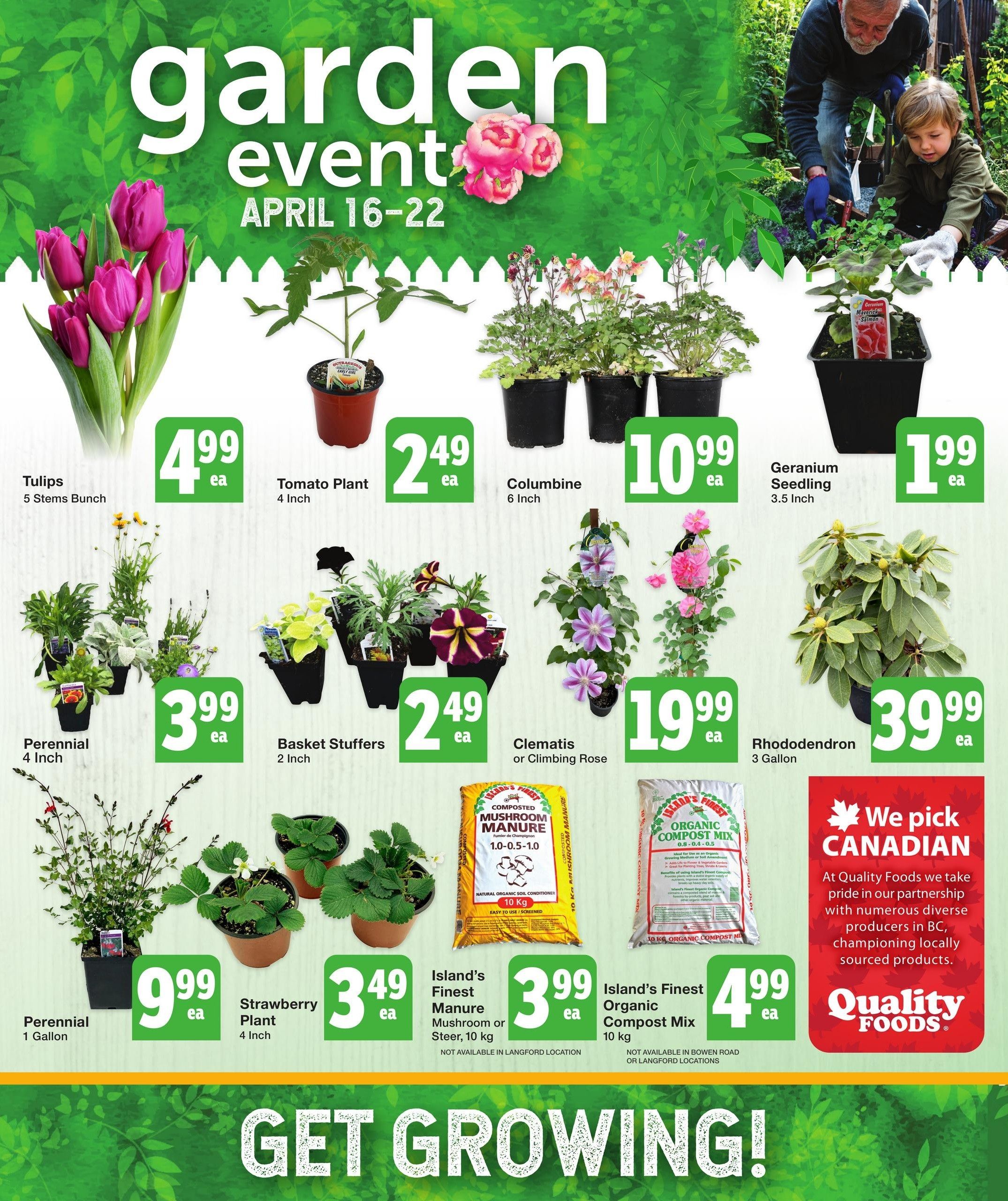 Quality Foods weekly flyer specials for the Garden Event from April 16-22. Featured items include Tulips (5 stems bunch) for $4.99 each, Tomato Plants (4 inch) for $2.49 each, Columbine (6 inch) for $10.99 each, and Geranium Seedlings (3.5 inch) for $1.99 each. Also available are Perennials (4 inch) for $3.99 each, Basket Stuffers (2 inch) for $2.49 each, Clematis or Climbing Roses for $19.99 each, and Rhododendrons (3 gallon) for $39.99 each. Other gardening supplies include Perennials (1 gallon) for $9.99 each, Strawberry Plants (4 inch) for $3.49 each, Island's Finest Mushroom or Steer Manure (10 kg) for $3.99 each, and Island's Finest Organic Compost Mix (10 kg) for $4.99 each. The flyer highlights a 'We pick CANADIAN' section, emphasizing partnerships with local producers. The page also features a 'GET GROWING!' message.