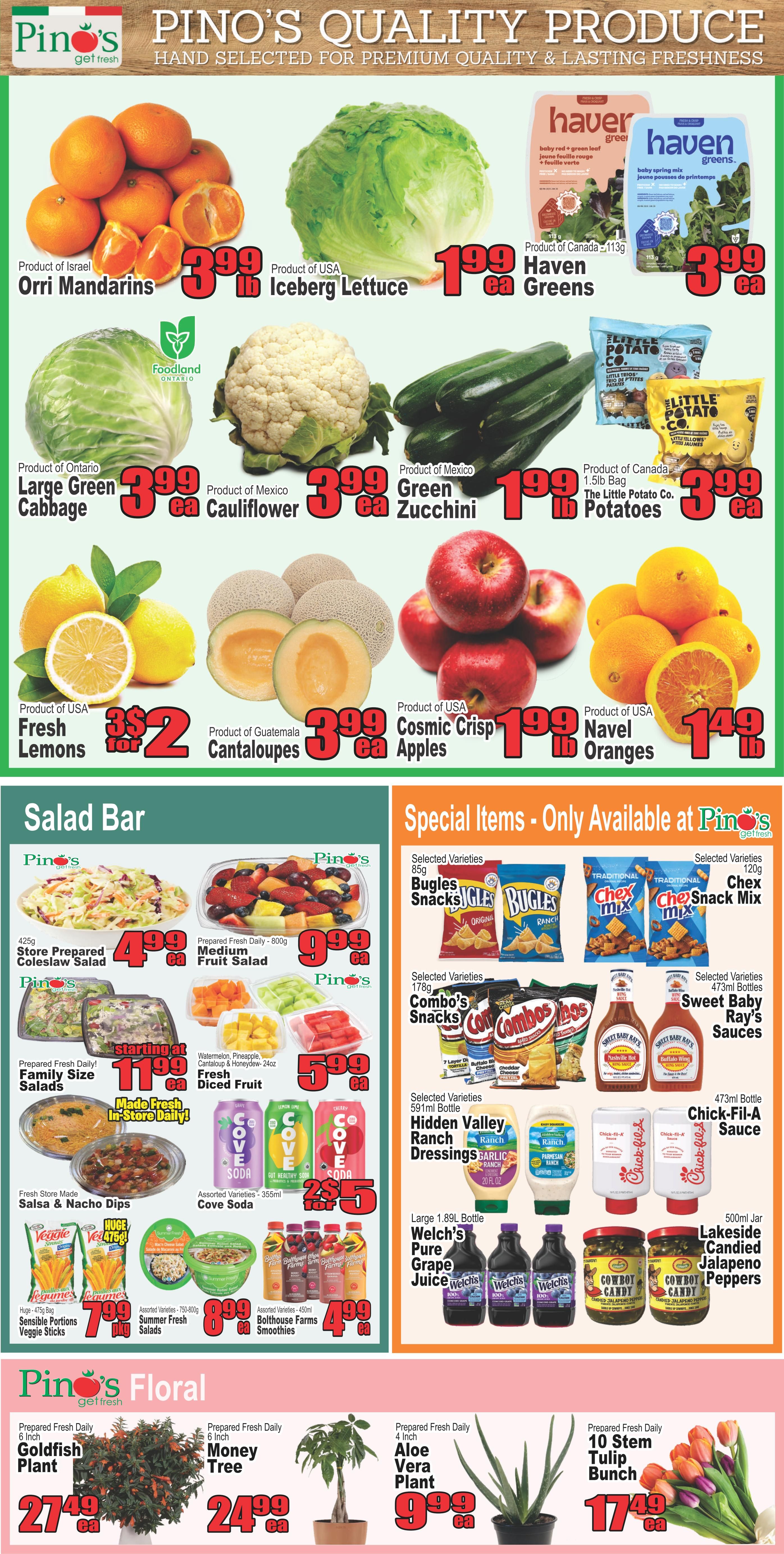 Pino's Get Fresh flyer page 2 features a wide selection of quality produce including Orri Mandarins for $3.99 lb, Iceberg Lettuce for $1.99 ea, Ontario Large Green Cabbage for $3.99 ea, Cauliflower for $3.99 ea, Green Zucchini for $1.99 lb, and The Little Potato Co. Potatoes for $3.99 lb. Also available are Fresh Lemons for 2 for $2, Guatemalan Cantaloupes for $3.99 ea, Cosmic Crisp Apples for $1.99 lb, and Navel Oranges for $1.49 lb. The Salad Bar offers Store Prepared Coleslaw Salad for $4.99 ea, Medium Fruit Salad for $9.99 ea, Family Size Salads starting at $11.99 ea, and Diced Fruit for $5.99 ea. Beverage options include Cove Soda for 2 for $5. Special items include Bugles Snacks for $3.99 ea, Chex Snack Mix for $3.99 ea, Combo's Snacks for $3.99 ea, Hidden Valley Ranch Dressings for $5.99 ea, Chick-Fil-A Sauce for $4.99 ea, Sweet Baby Ray's Sauces for $4.99 ea, Welch's Pure Grape Juice for $5.99 ea, and Lakeside Candied Jalapeno Peppers for $4.99 ea. The flyer also highlights fresh produce like Veggie Sticks for $7.99 pkg, Summer Fresh Salads for $8.99 ea, and Bolthouse Farms Smoothies for $4.99 ea. Pino's Floral section includes a Goldfish Plant for $27.49 ea, a Money Tree for $24.99 ea, an Aloe Vera Plant for $9.99 ea, and a 10 Stem Tulip Bunch for $17.49 ea.