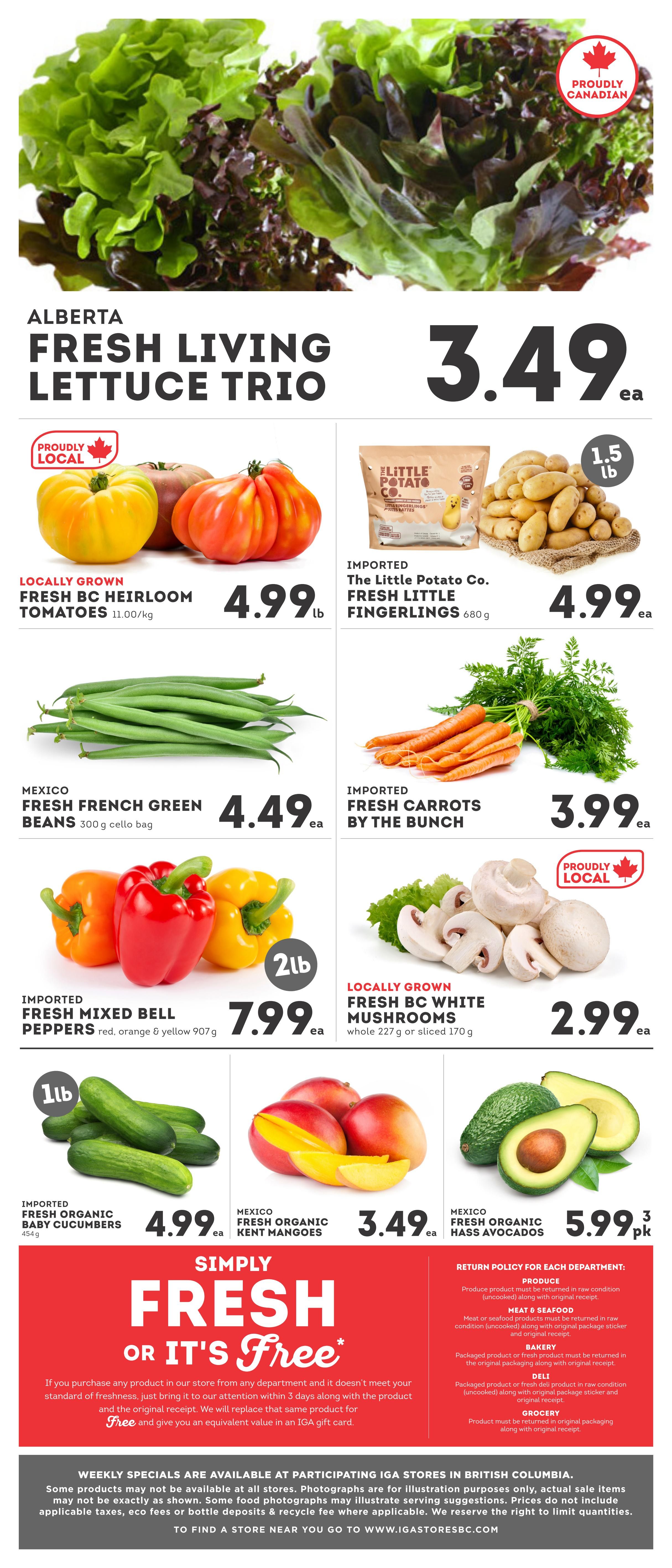 IGA British Columbia weekly flyer specials, page 6. Featured produce includes Alberta Fresh Living Lettuce Trio for $3.49 each. Locally Grown Fresh BC Heirloom Tomatoes are $4.99 per lb. Imported The Little Potato Co. Fresh Little Fingerlings (680 g) are $4.99 each. Mexico Fresh French Green Beans (300 g cello bag) are $4.49 each. Imported Fresh Carrots by the Bunch are $3.99 each. Imported Fresh Mixed Bell Peppers (red, orange & yellow, 907 g) are $7.99 each. Locally Grown Fresh BC White Mushrooms (whole 227 g or sliced 170 g) are $2.99 each. Imported Fresh Organic Baby Cucumbers (454 g) are $4.99 each. Mexico Fresh Organic Kent Mangoes are $3.49 each. Mexico Fresh Organic Hass Avocados are $5.99 for 3 pk. The flyer also highlights the 'Simply Fresh or It's Free' guarantee and return policy for various departments. Weekly specials are available at participating IGA stores in British Columbia.