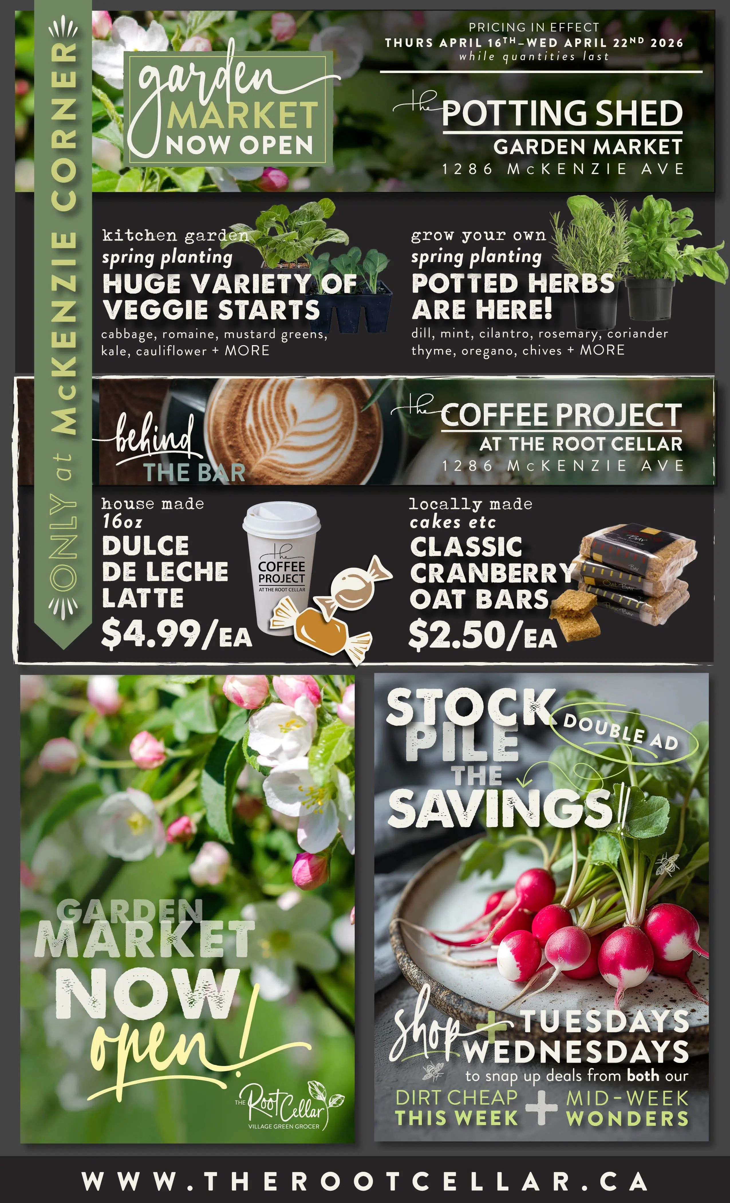 The Root Cellar weekly flyer specials, page 6. Features the Garden Market now open with a huge variety of veggie starts for spring planting, including cabbage, romaine, mustard greens, kale, cauliflower, and more. Also available are spring planting potted herbs like dill, mint, cilantro, rosemary, coriander, thyme, oregano, chives, and more. The Potting Shed Garden Market is located at 1286 McKenzie Ave. The Coffee Project at The Root Cellar offers house-made 16oz Dulce de Leche Lattes for $4.99 each and locally made Classic Cranberry Oat Bars for $2.50 each. The flyer highlights 'Stock Pile the Savings' double ad, encouraging shoppers to 'shop Tuesdays Wednesdays' for 'Dirt Cheap This Week' and 'Mid-Week Wonders' deals. Pricing is in effect from Thursday, April 16th to Wednesday, April 22nd, 2026, while quantities last. The website is www.therootcellar.ca.