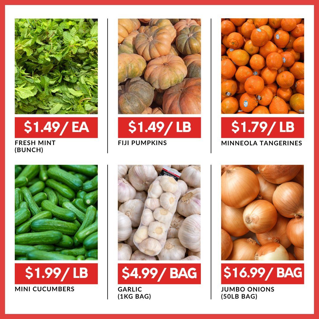 Basha Foods International weekly flyer specials page 6 features fresh produce. Find Fresh Mint (bunch) for $1.49 each, Fiji Pumpkins for $1.49 per pound, and Minneola Tangerines for $1.79 per pound. Also available are Mini Cucumbers for $1.99 per pound, Garlic (1kg bag) for $4.99 per bag, and Jumbo Onions (50lb bag) for $16.99 per bag.