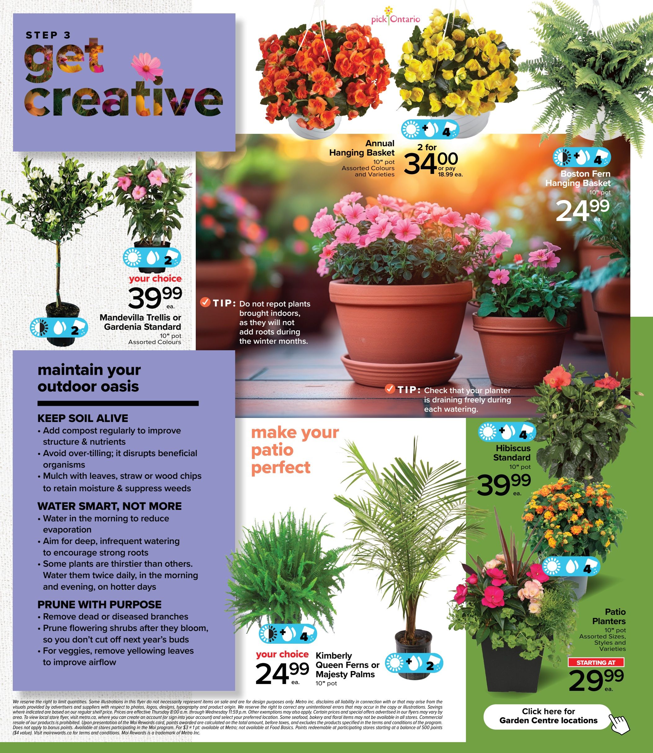 Metro Ontario flyer, page 4 of 4. Features gardening products and tips. Offers include Annual Hanging Baskets (10' pot, assorted colours and varieties) for 2 for $34.00 or $18.99 each. Boston Fern Hanging Baskets (10' pot) are $24.99 each. Mandevilla Trellis or Gardenia Standard plants (10' pot, assorted colours) are your choice for $39.99 each. Hibiscus Standard plants (10' pot) are $39.99 each. Kimberly Queen Ferns or Majesty Palms (10' pot) are your choice for $24.99 each. Patio Planters (10' pot, assorted sizes, styles and varieties) start at $29.99. Page includes tips on how to 'maintain your outdoor oasis' with advice on keeping soil alive, watering, and pruning. A 'make your patio perfect' section is also featured. Click here for Garden Centre locations.