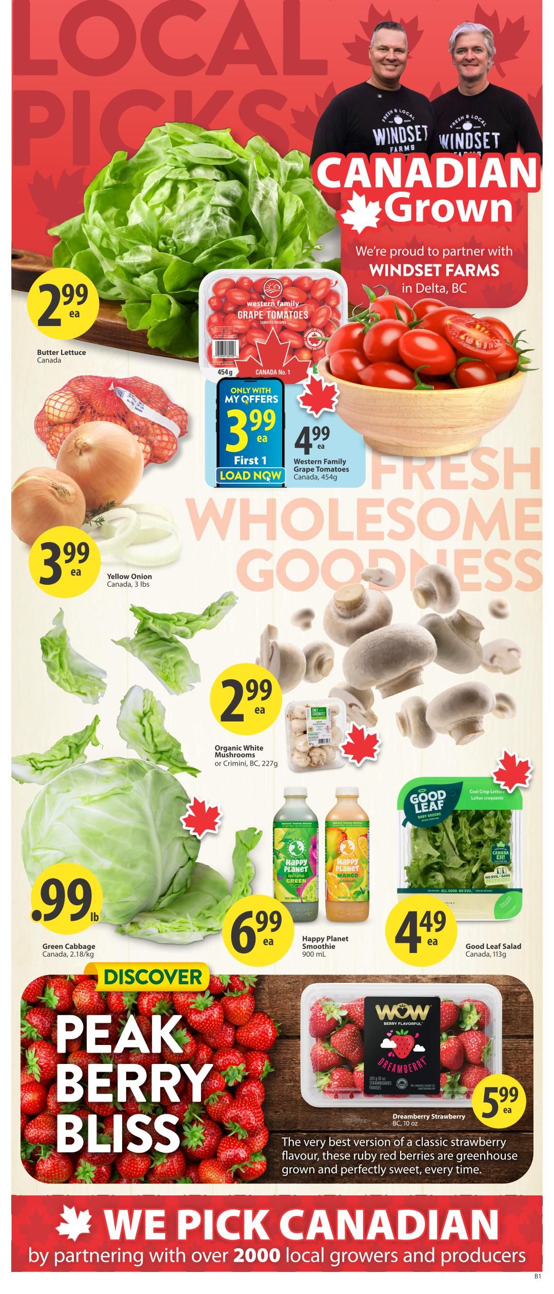 Save-On-Foods Alberta flyer page 3 features local picks and Canadian grown produce. Highlights include Butter Lettuce for $2.99 each, Western Family Grape Tomatoes for $3.99 each (only with My Offers) and $4.99 each, Yellow Onions for $3.99 each (3 lbs), Green Cabbage for $0.99 per lb, Organic White Mushrooms or Crimini for $2.99 each (227g). Also featured are Happy Planet Smoothies in Green and Mango flavours for $6.99 each (900 mL) and Good Leaf Salad for $4.49 each (113g). The page also showcases 'Peak Berry Bliss' with Dreamberry Strawberries from BC for $5.99 each (10 oz). The flyer emphasizes partnering with over 2000 local growers and producers.