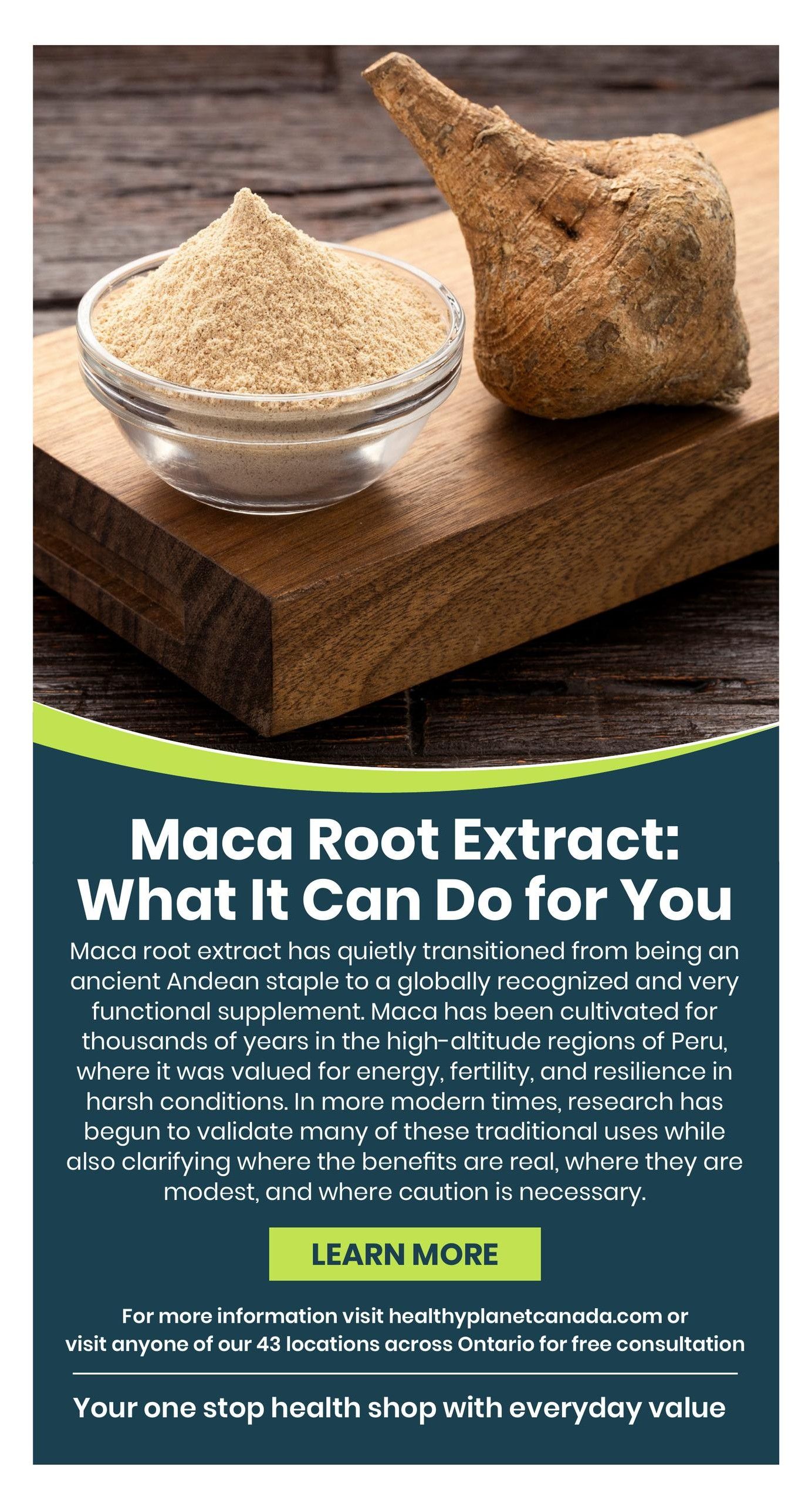 Healthy Planet flyer, page 6. Features an image of maca root and maca root powder in a bowl. The text discusses Maca Root Extract and its benefits, noting its transition from an ancient Andean staple to a globally recognized functional supplement. It highlights traditional uses for energy, fertility, and resilience, with modern research validating these benefits. A 'Learn More' button is visible. The page also provides information to visit healthyplanetcanada.com or any of the 43 Ontario locations for free consultation, promoting the store as 'Your one stop health shop with everyday value'.