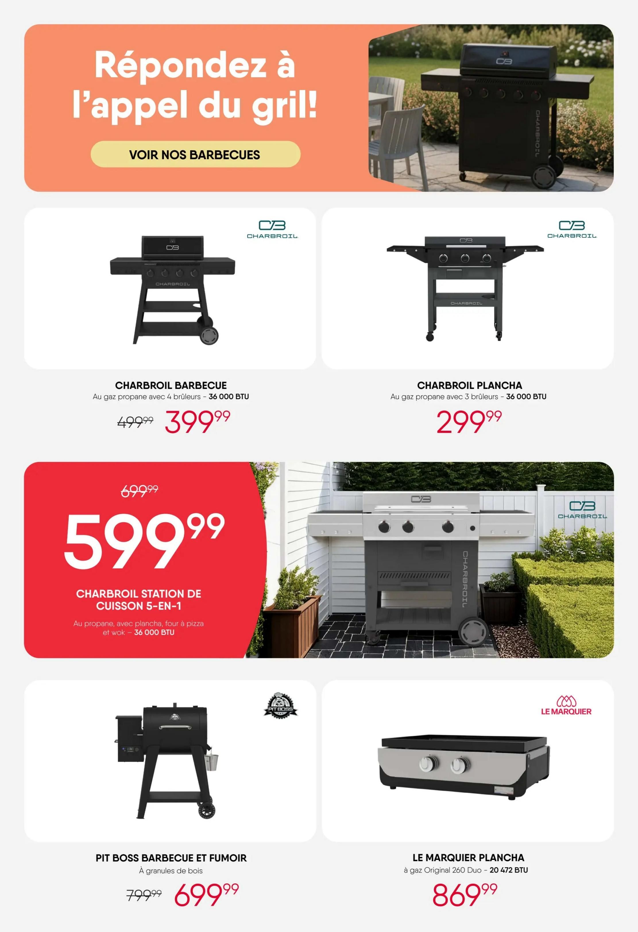 RD Furniture Weekly Flyer Specials page 19 features a selection of barbecues and planchas. Top section has a banner with 'Answer the call of the grill!' and a button 'See our barbecues'. Below are two Char-Broil grills: a propane barbecue with 4 burners, 36,000 BTU, on sale for $399.99 (originally $499.99), and a plancha with 3 burners, 36,000 BTU, for $299.99. The largest item featured is the Char-Broil 5-in-1 Cooking Station, propane-powered with a plancha, pizza oven, and wok, 36,000 BTU, priced at $599.99 (originally $699.99). Also shown are a Pit Boss Barbecue and Smoker, wood pellet fueled, for $699.99 (originally $799.99), and a Le Marquier Plancha, Original 260 Duo, 20,472 BTU, for $869.99.