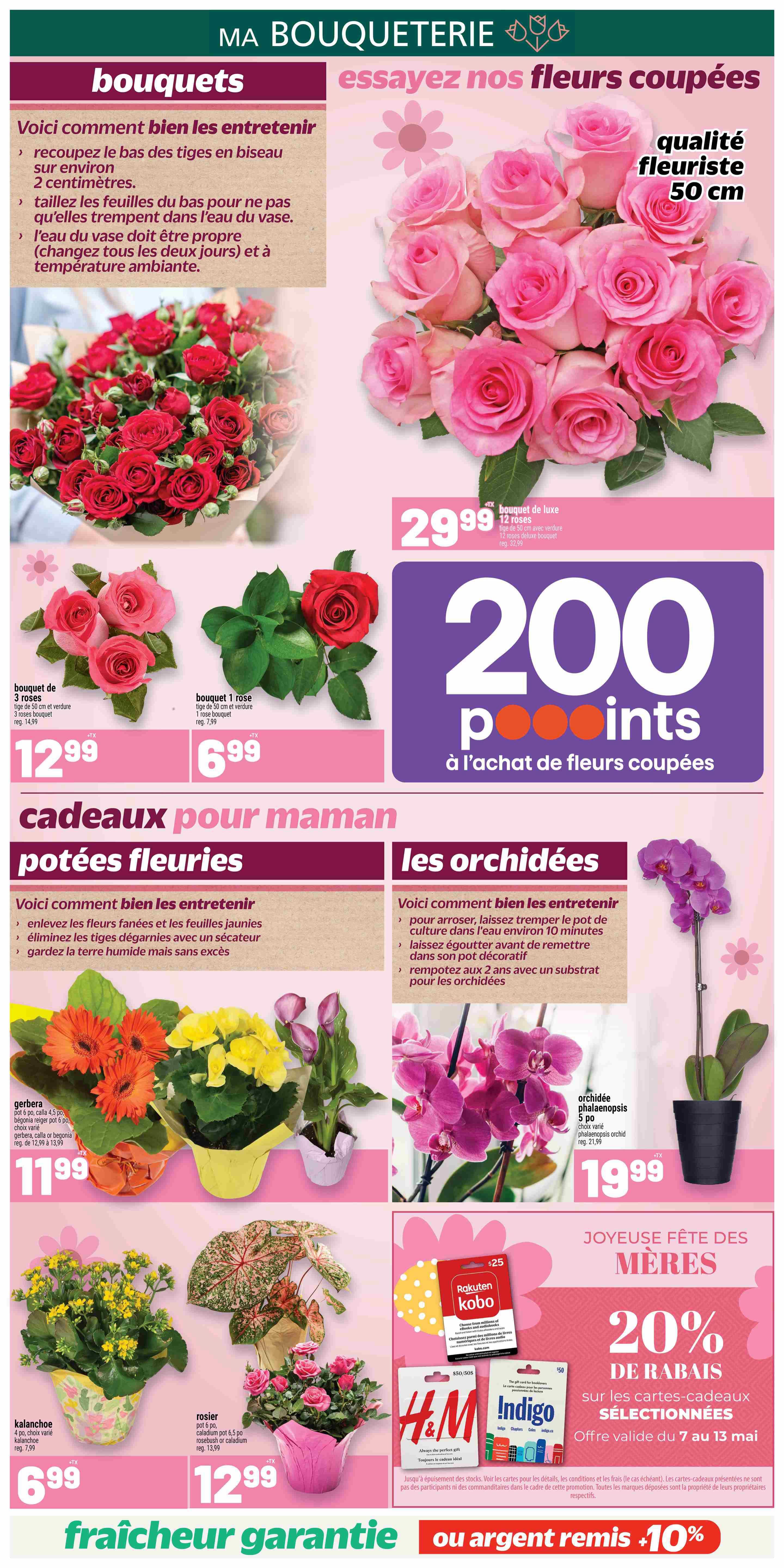 Metro Quebec weekly flyer specials, page 6. Features a selection of cut flowers and potted plants for Mother's Day. Offers include a luxury bouquet of 12 roses for $29.99, a 3-rose bouquet for $12.99, and a single rose for $6.99. Get 200 bonus points with the purchase of cut flowers. Potted plants include Gerbera, Kalanchoe, and Rose plants for $11.99, $6.99, and $12.99 respectively. Also featured is a Phalaenopsis orchid for $19.99. Mother's Day gift card promotion offers 20% off selected H&M and Indigo gift cards, valid from May 7 to May 13. Includes a freshness guarantee or 10% money back.