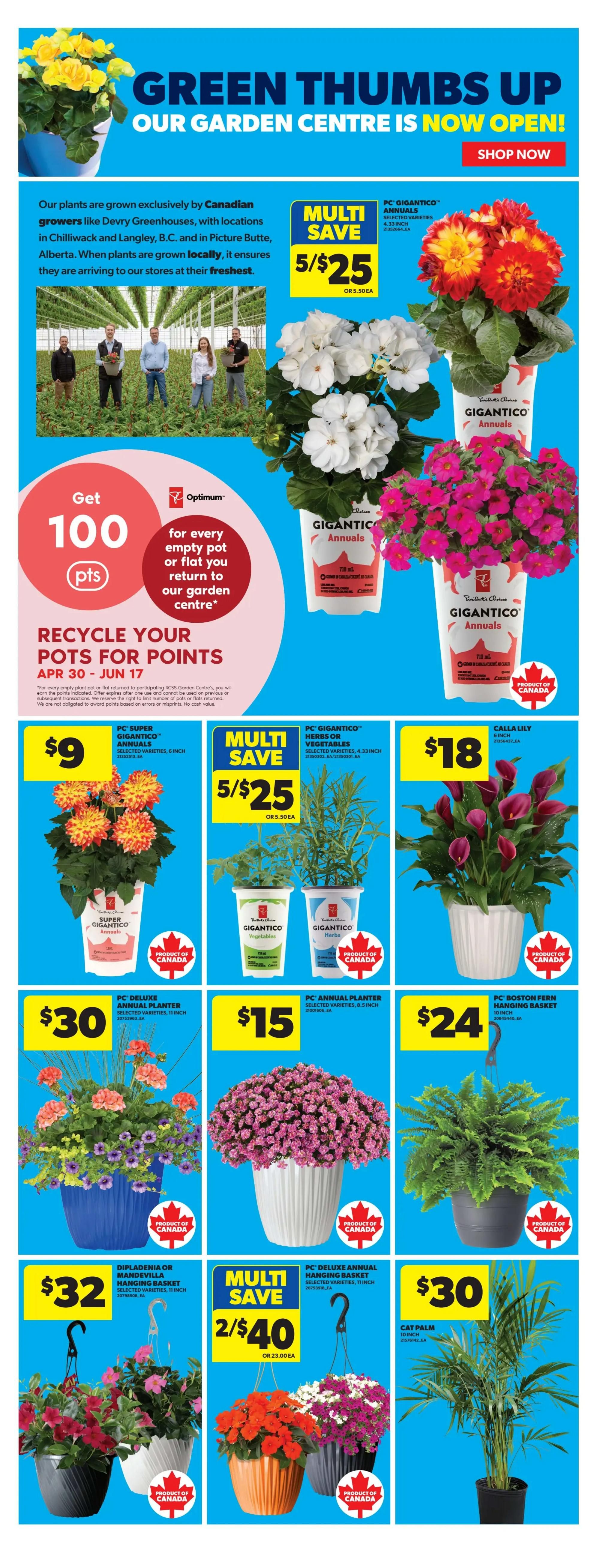 Real Canadian Superstore weekly flyer specials page 25 features 'Green Thumbs Up Our Garden Centre Is Now Open!'. The page highlights plants grown exclusively by Canadian growers. Get 100 Optimum points for every empty pot or flat returned to the garden centre from April 30 to June 17. Featured plants include: PC Gigantico Annuals, 4.33 inch pots, multi-save 5 for $25 or $5.50 each. PC Super Gigantico Annuals, 6 inch pots, for $9. PC Gigantico Herbs or Vegetables, 4.33 inch pots, multi-save 5 for $25 or $5.50 each. Calla Lily, $18. PC Deluxe Annual Planter, 11 inch, for $30. PC Annual Planter, 8.5 inch, for $15. PC Boston Fern Hanging Basket, 10 inch, for $24. Diplaednia or Mandevilla Hanging Basket, 11 inch, for $32. PC Deluxe Annual Hanging Basket, 11 inch, multi-save 2 for $40 or $23.00 each. Cat Palm, 10 inch, for $30. Many products are marked as 'Product of Canada'.