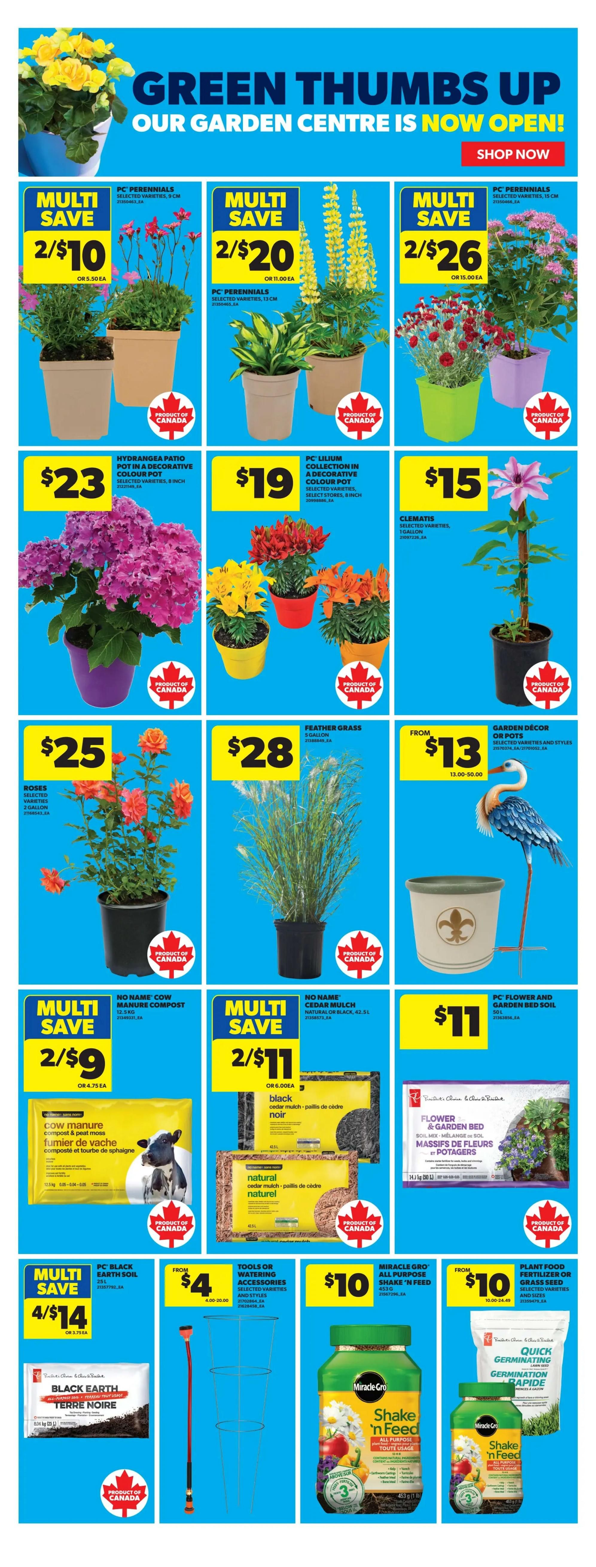 Real Canadian Superstore weekly flyer specials page 26 features a garden centre sale. Offers include PC Perennials at 2 for $10, 2 for $20, and 2 for $26. Hydrangea Patio Pot in a decorative colour pot is $23. PC Lilium Collection in a decorative colour pot is $19. Clematis selected varieties, 1 gallon, are $15. Roses selected varieties, 2 gallon, are $25. Feather Grass, 1 gallon, is $28. Garden Decor or Pots are from $13 to $50. Multi-save deals on No Name Cow Manure Compost & Peat Moss at 2 for $9 and No Name Cedar Mulch at 2 for $11. PC Flower and Garden Bed Soil is $11. PC Black Earth Soil is 4 for $14. Tools or Watering Accessories are from $4 to $20. Miracle-Gro Shake 'n Feed All Purpose is $10. Plant Food Fertilizer or Grass Seed is from $10.