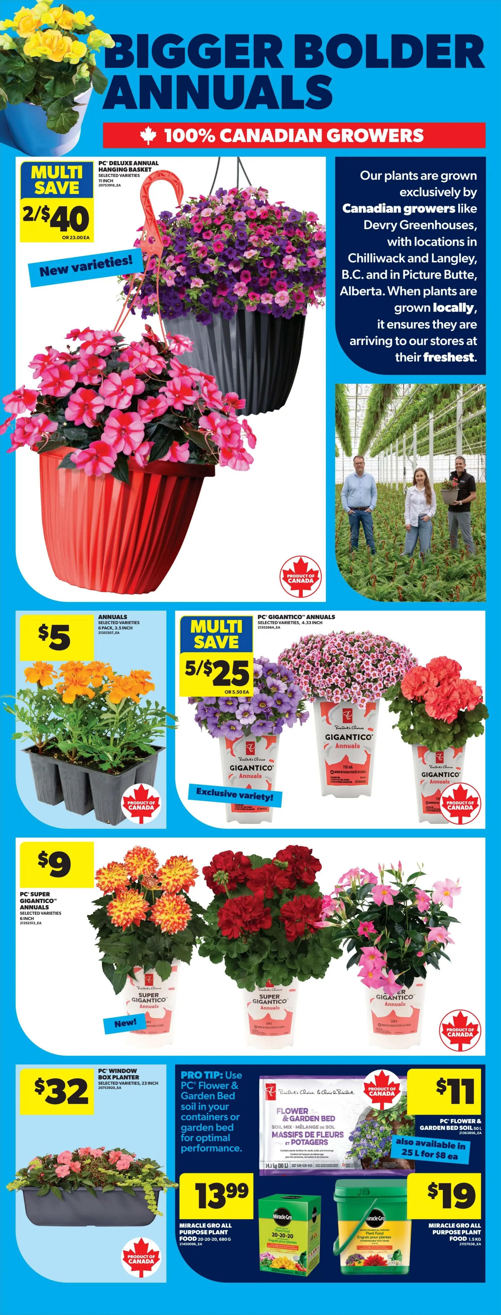 Real Canadian Superstore weekly flyer specials page 51 features Bigger Bolder Annuals, 100% Canadian Grown plants. Multi-save offer: 2 for $40 on PC Deluxe Annual Hanging Baskets, selected varieties, 11 inch. Also available are annuals in 6 pack, 3.5 inch for $5. Gigantico Annuals selected varieties, 4.33 inch are 5 for $25, or $5.50 each, featuring exclusive varieties. PC Super Gigantico Annuals, selected varieties, 6 inch are $9. A PC Window Box Planter, selected varieties, 23 inch is $32. Pro Tip: Use PC Flower & Garden Bed soil in your containers or garden bed for optimal performance. PC Flower & Garden Bed Soil 50L is $11, also available in 25L for $8. Miracle Gro All Purpose Plant Food 20-20-20, 680g is $13.99. Miracle Gro All Purpose Plant Food 4kg is $19.