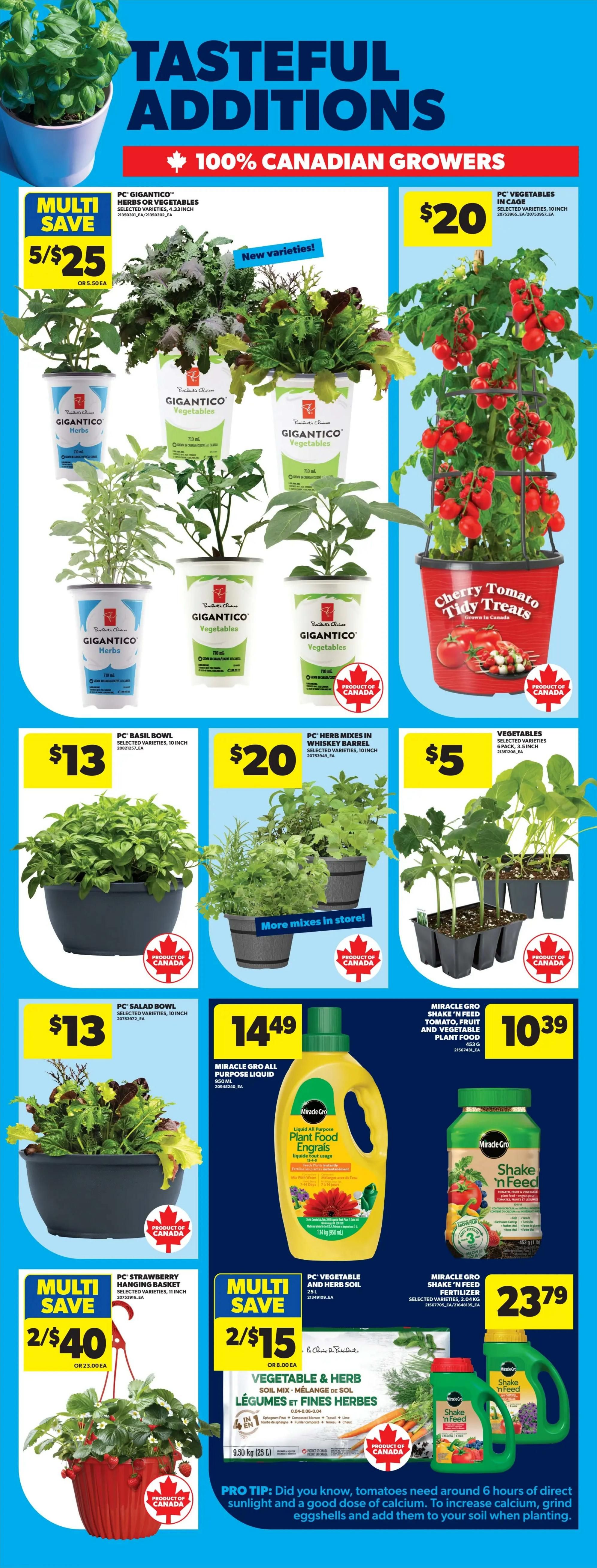 Real Canadian Superstore weekly flyer specials page 53, featuring 'Tasteful Additions - 100% Canadian Growers'. Offers include PC Gigantico herbs and vegetables, 5 for $25. A Cherry Tomato Tidy Treats plant is $20. PC Basil Bowl is $13, and PC Herb Mixes in Whiskey Barrel are $20. Small vegetable plants are $5 each. A PC Strawberry Hanging Basket is 2 for $40. Miracle-Gro All Purpose Plant Food Liquid is $14.49 for 950 mL. Miracle-Gro Shake 'n Feed Fertilizer is $23.79 for 2.04 kg. Vegetable & Herb Soil Mix is 2 for $15. A pro tip for growing tomatoes is included.