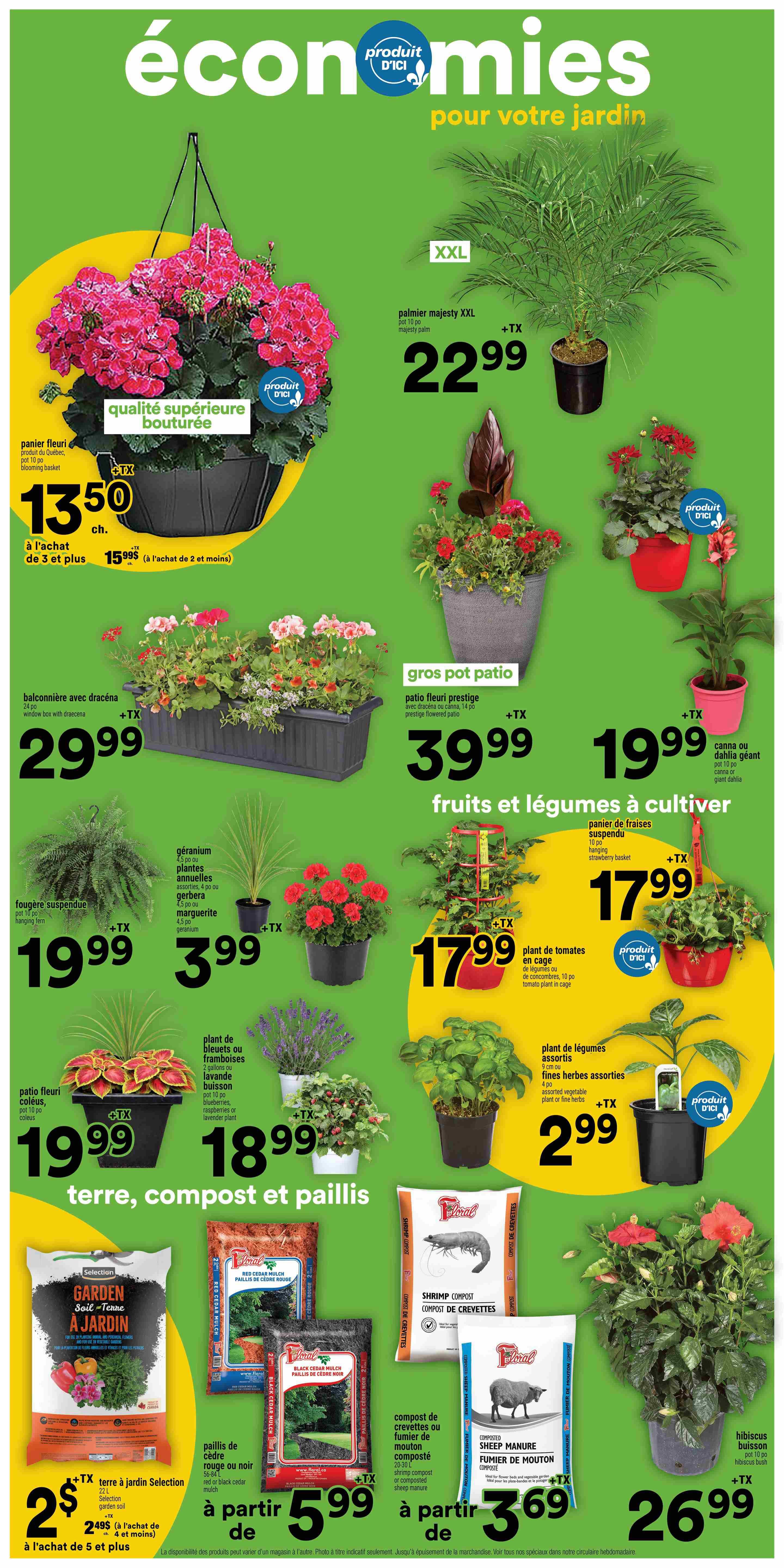 Super C weekly flyer specials page 13 features a variety of garden plants and supplies. Top section includes a large hanging basket of pink geraniums, labelled 'qualité supérieure bouturée' (superior quality blooming), priced at $13.50 each, with a special offer of $15.99 for 2 or more. Also featured is a large XXL Majesty Palm in a 10-inch pot for $22.99 + TX. Other plants include a balcony planter box with dracaena for $29.99, a patio prestige planter with flowers for $39.99 + TX, and a canna or giant dahlia in a 10-inch pot for $19.99 + TX. Below, find a hanging fern for $19.99 + TX, assorted annual geraniums in a 4.5-inch pot for $3.99 + TX, and a strawberry basket for $17.99 + TX. Also available are blueberry, rose, or lavender plants for $18.99, and a tomato plant in a cage for $17.99 + TX. A potted coleus plant is $19.99. For herbs, find assorted vegetable or fine herb plants in a 4-inch pot for $2.99 + TX. The bottom section showcases garden soil, compost, and mulches. Selection garden soil is $2.99 each when you buy 5 or more, or $2.49 each when you buy 5 or more. Floral brand red or black cedar mulch is $5.99 each. Floral brand shrimp compost and sheep manure compost are available starting at $3.69. A hibiscus bush in a 10-inch pot is $26.99.