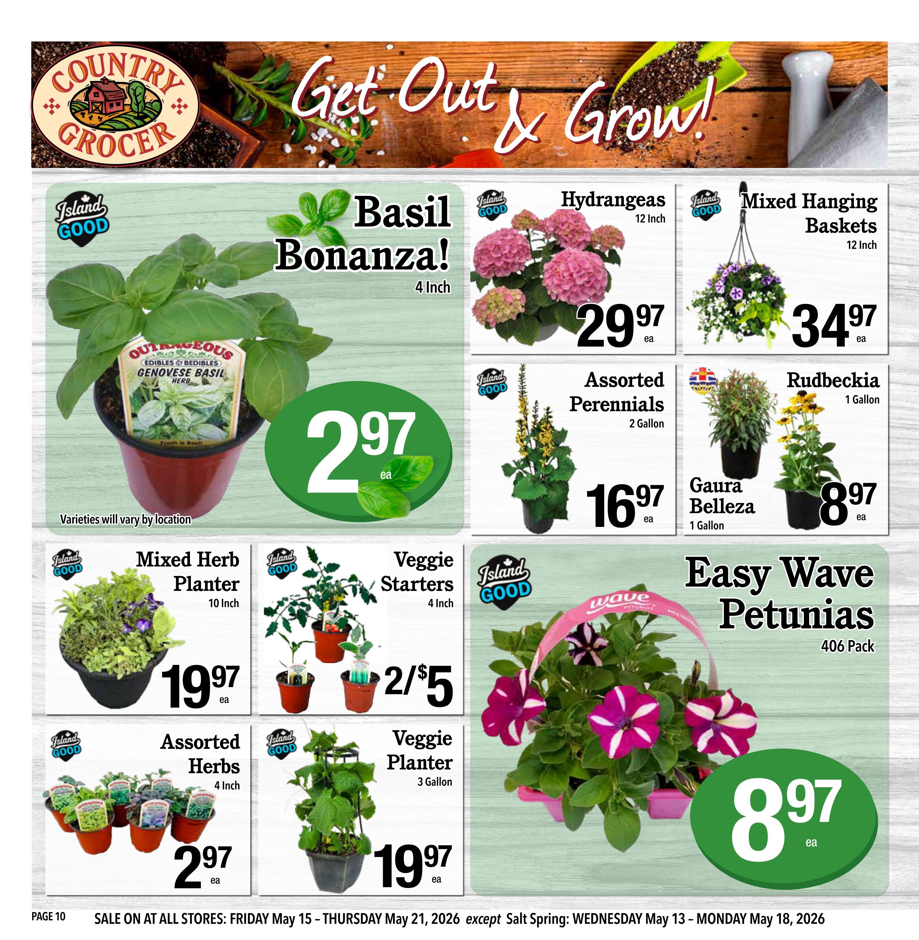 Country Grocer weekly flyer specials page 10 features a 'Get Out & Grow!' theme with various plants and gardening items. Featured products include a 4-inch Genovese Basil plant for $2.97, 12-inch Hydrangeas for $29.97, and 12-inch Mixed Hanging Baskets for $34.97. Also available are 2-gallon Assorted Perennials for $16.97, 1-gallon Gaura Belleza for $8.97, and 1-gallon Rudbeckia for $8.97. For planters, find a 10-inch Mixed Herb Planter for $19.97 and a 3-gallon Veggie Planter for $19.97. Assorted Herbs in 4-inch pots are $2.97 each, and Veggie Starters (4-inch) are 2 for $5. Easy Wave Petunias in a 406-pack are priced at $8.97. Sale runs from Friday, May 15 to Thursday, May 21, 2026.