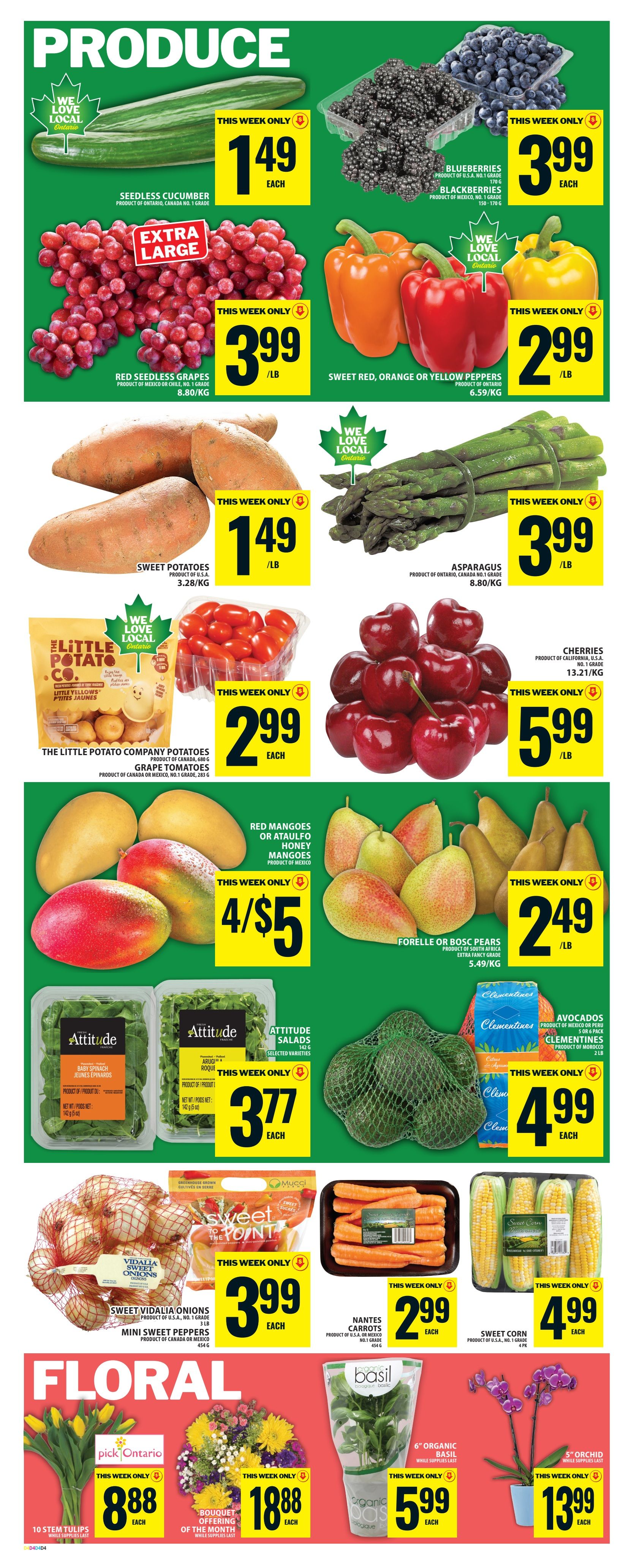 Food Basics weekly flyer specials page 6 features a variety of fresh produce and floral items. Produce highlights include seedless cucumbers for $1.49 each, extra large red seedless grapes for $3.99/lb, blueberries for $3.99 each, and blackberries for $3.99 each. Also available are sweet red, orange, or yellow peppers for $2.99/lb, sweet potatoes for $1.49/lb, and asparagus for $3.99/lb. The Little Potato Company potatoes are $2.99 each, and grape tomatoes are also $2.99 each. Red or Ataulfo honey mangoes are on special at 4 for $5, and Forelle or Bosc pears are $2.49/lb. Attitude salads, including baby spinach and arugula, are $3.77 each. Avocados and clementines are $4.99 each. Vidalia sweet onions are $3.99 each, Nantes carrots are $2.99 each, and sweet corn is $4.99 each. The floral section offers 10 stem tulips for $8.88 each, a bouquet offering of the month for $18.88 each, 6' organic basil for $5.99 each, and a 5' orchid for $13.99 each.