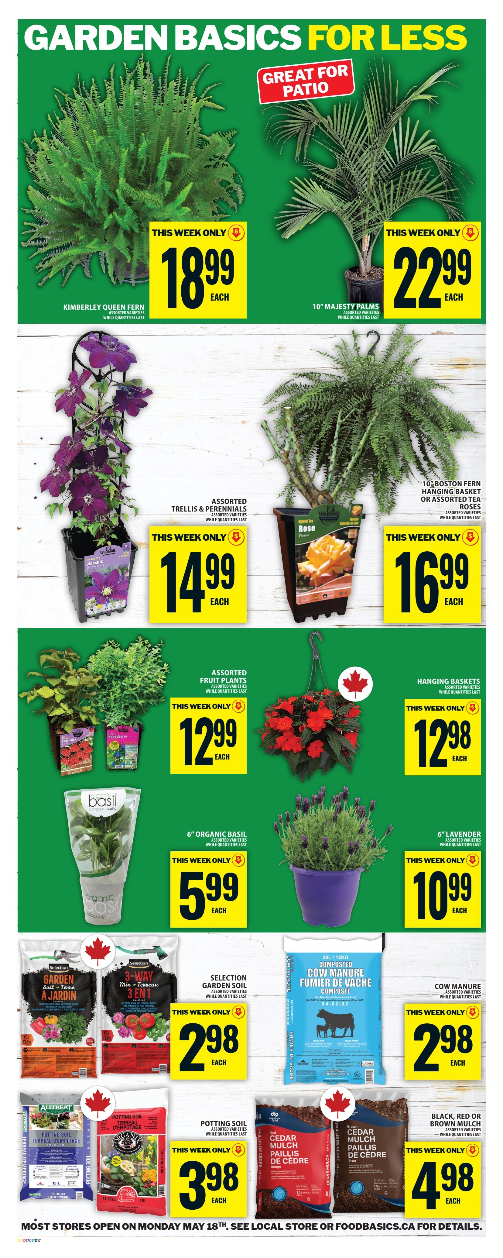 Food Basics Garden Basics for Less flyer, page 20. Great for patio items include Kimberley Queen Fern for $18.99 each and 10' Majesty Palms for $22.99 each. Assorted Trellis & Perennials are $14.99 each. A 10' Boston Fern Hanging Basket or Assorted Tea Roses are $16.99 each. Assorted Fruit Plants are $12.99 each. Hanging Baskets are $12.98 each. 6' Organic Basil is $5.99 each. 6' Lavender is $10.99 each. Selection Garden Soil is $2.98 each. 20L/12KG Composted Cow Manure is $2.98 each. Cow Manure is $2.98 each. Potting Soil is $3.98 each. Cedar Mulch (Black, Red or Brown) is $4.98 each. Most stores open on Monday May 18th.