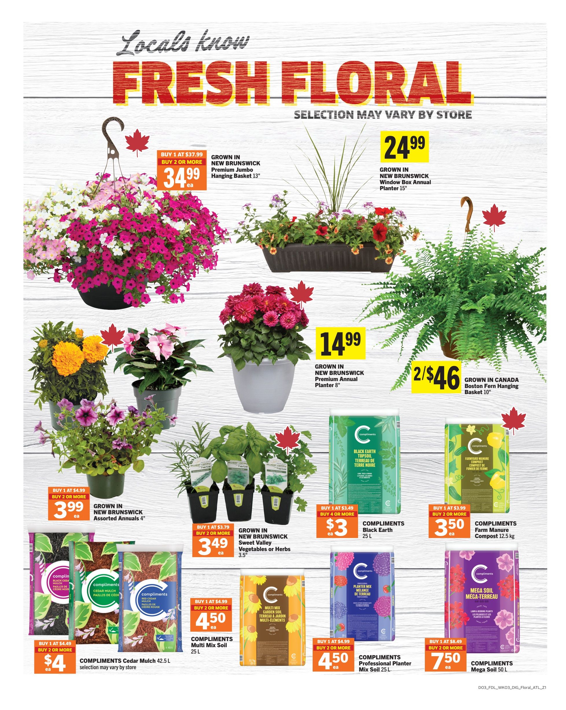 Foodland weekly flyer specials page 10 featuring fresh floral and garden supplies. Offers include Grown in New Brunswick Premium Jumbo Hanging Baskets 13' for $34.99 each when you buy 1 at $37.99 or buy 2 or more for $34.99 each. Grown in New Brunswick Window Box Annual Planter 15' is $24.99. Grown in New Brunswick Premium Annual Planter 8' is $14.99. Grown in Canada Boston Fern Hanging Basket 10' is 2 for $46. Grown in New Brunswick Assorted Annuals 4' are $3.99 each when you buy 1 at $4.99 or buy 2 or more for $3.99 each. Grown in New Brunswick Sweet Valley Vegetables or Herbs 3.5' are $3.49 each when you buy 1 at $3.79 or buy 2 or more for $3.49 each. Compliments Cedar Mulch 42.5 L is $4.00 each when you buy 1 at $4.49 or buy 2 or more for $4.00 each. Compliments Multi Mix Soil 25 L is $4.50 each when you buy 1 at $4.99 or buy 2 or more for $4.50 each. Compliments Black Earth Topsoil 25 L is $3.00 each when you buy 1 at $3.49 or buy 4 or more for $3.00 each. Compliments Farm Manure Compost 12.5 kg is $3.50 each when you buy 1 at $3.99 or buy 2 or more for $3.50 each. Compliments Professional Planter Mix Soil 25 L is $4.50 each when you buy 1 at $4.99 or buy 2 or more for $4.50 each. Compliments Mega Soil 50 L is $7.50 each when you buy 1 at $8.49 or buy 2 or more for $7.50 each.