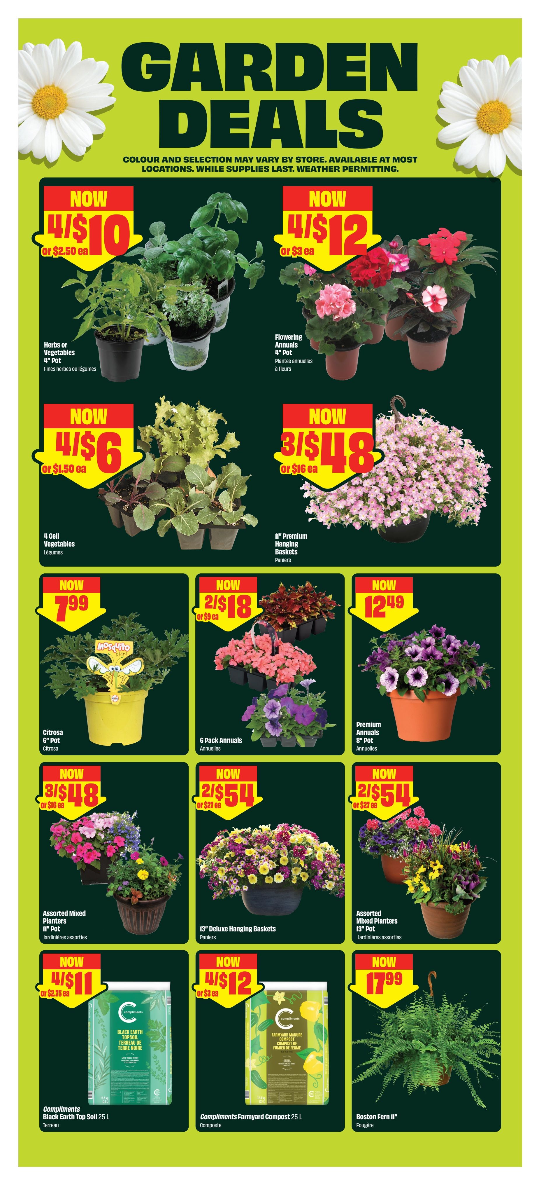 FreshCo Garden Deals flyer page 6 features a variety of plants and gardening supplies. Deals include: Herbs or Vegetables 4' Pot for 4/$10 or $2.50 each, Flowering Annuals 4' Pot for 4/$12 or $3 each, 4 Cell Vegetables for 4/$6 or $1.50 each, and 11' Premium Hanging Baskets for 3/$48 or $16 each. Also featured are Citrosa 6' Pot for $7.99, 6 Pack Annuals for 2/$18 or $9 each, and Premium Annuals 8' Pot for $12.49. Assorted Mixed Planters 11' Pot are 3/$48 or $16 each, and 13' Deluxe Hanging Baskets are 2/$54 or $27 each. Assorted Mixed Planters 13' Pot are also 2/$54 or $27 each. For soil and compost, Compliments Black Earth Top Soil 25 L is 4/$11 or $2.75 each, and Compliments Farmyard Compost 25 L is 4/$12 or $3 each. A Boston Fern II' is available for $17.99. Colour and selection may vary by store, while supplies last, weather permitting.