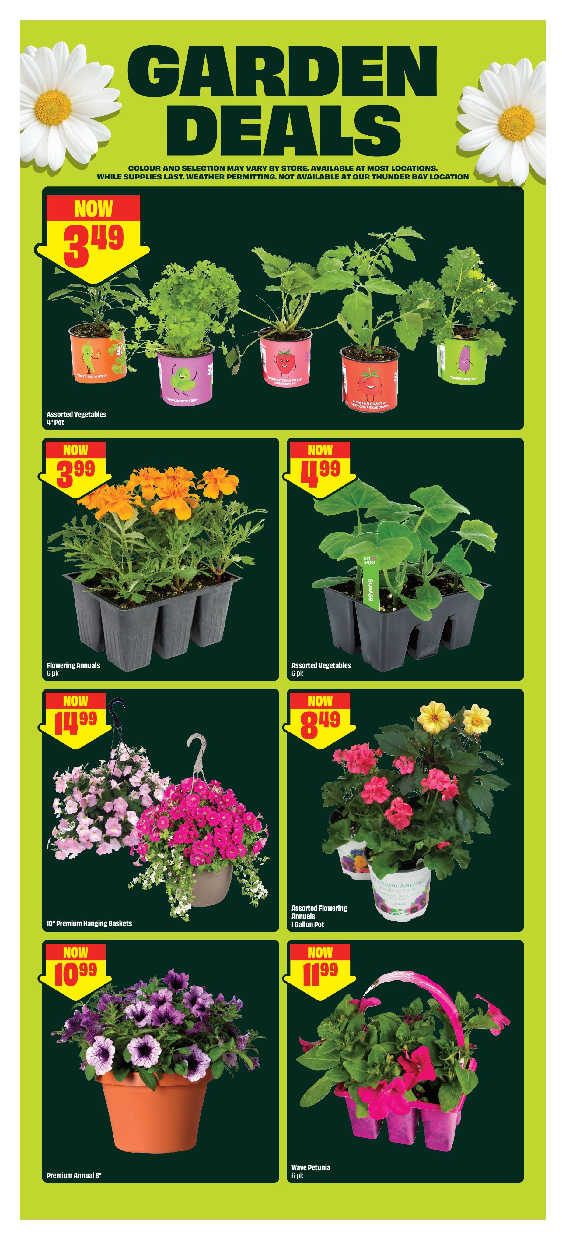 FreshCo weekly flyer specials page 6 features Garden Deals. Assorted Vegetables in 4' pots are now $3.49. Flowering Annuals 6 pk are now $3.99. Assorted Vegetables 6 pk are now $4.99. 10' Premium Hanging Baskets are now $14.99. Assorted Flowering Annuals in 1 Gallon Pots are now $8.49. Premium Annual 8' pots are now $10.99. Wave Petunia 6 pk are now $11.99. Colour and selection may vary by store and are available at most locations while supplies last, weather permitting. Not available at the Thunder Bay location.